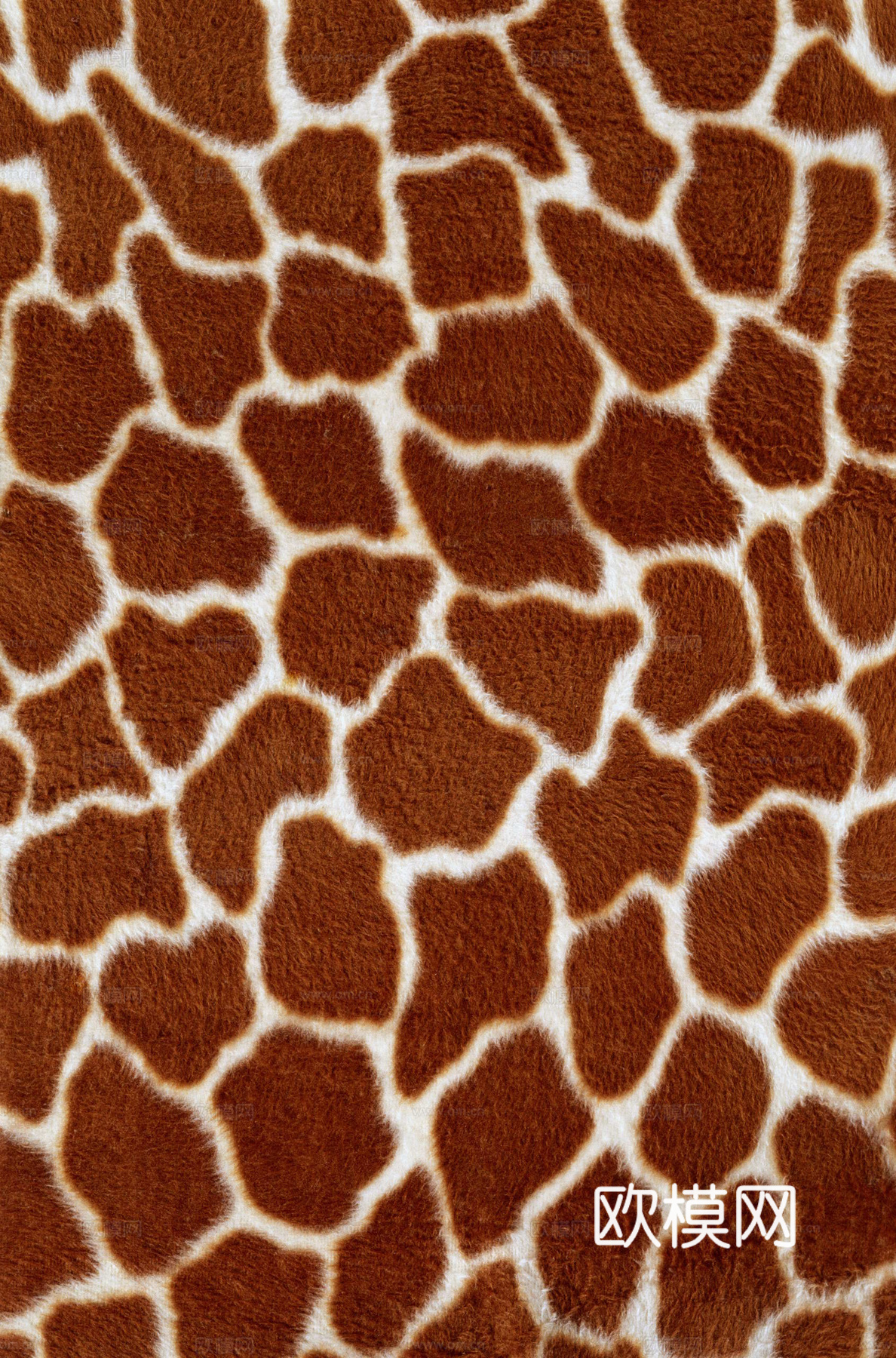 动物皮毛 毛发 地毯毛发 绒毛地毯 现代地毯下载