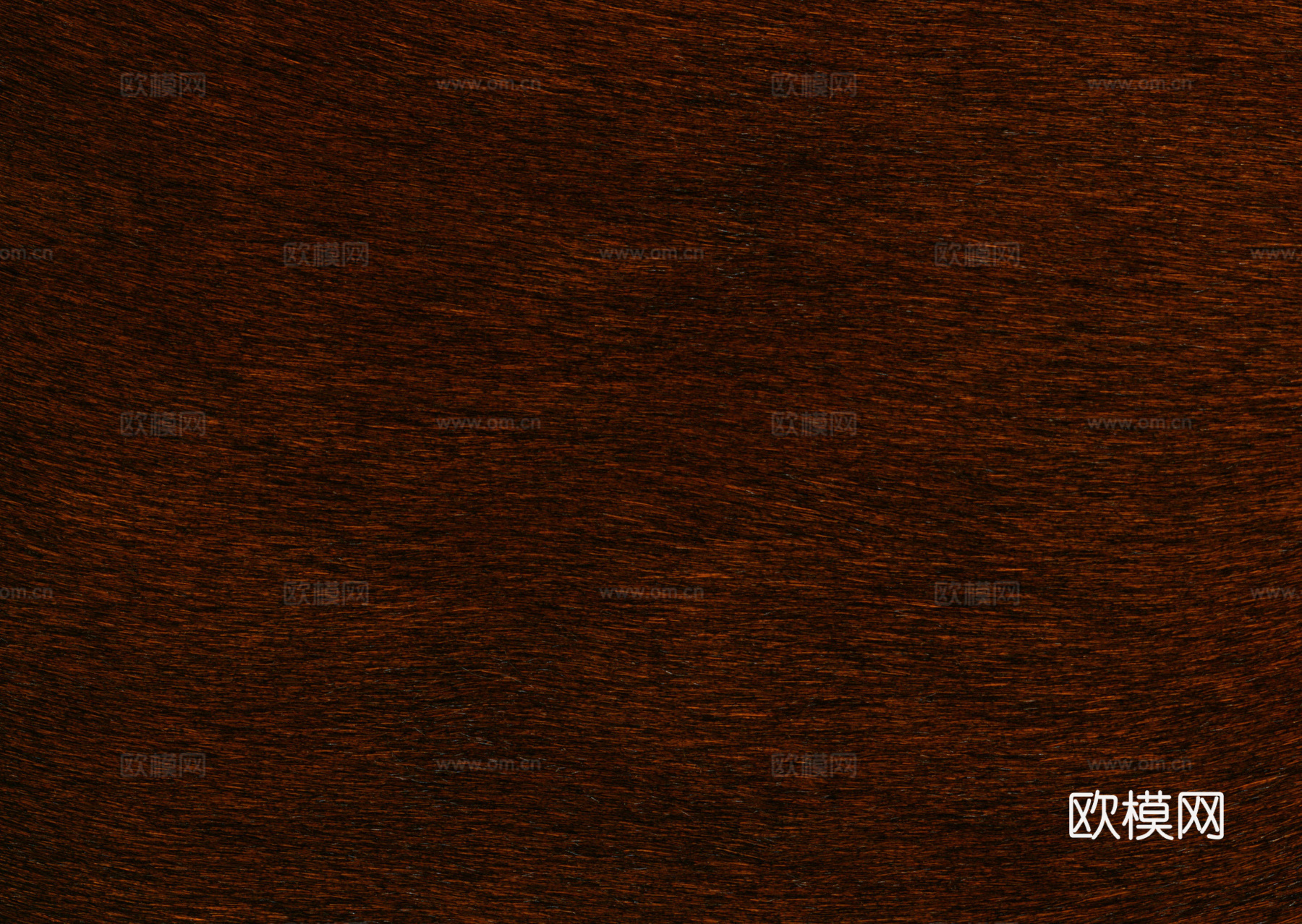 动物皮毛 毛发 地毯毛发 绒毛地毯 现代地毯下载