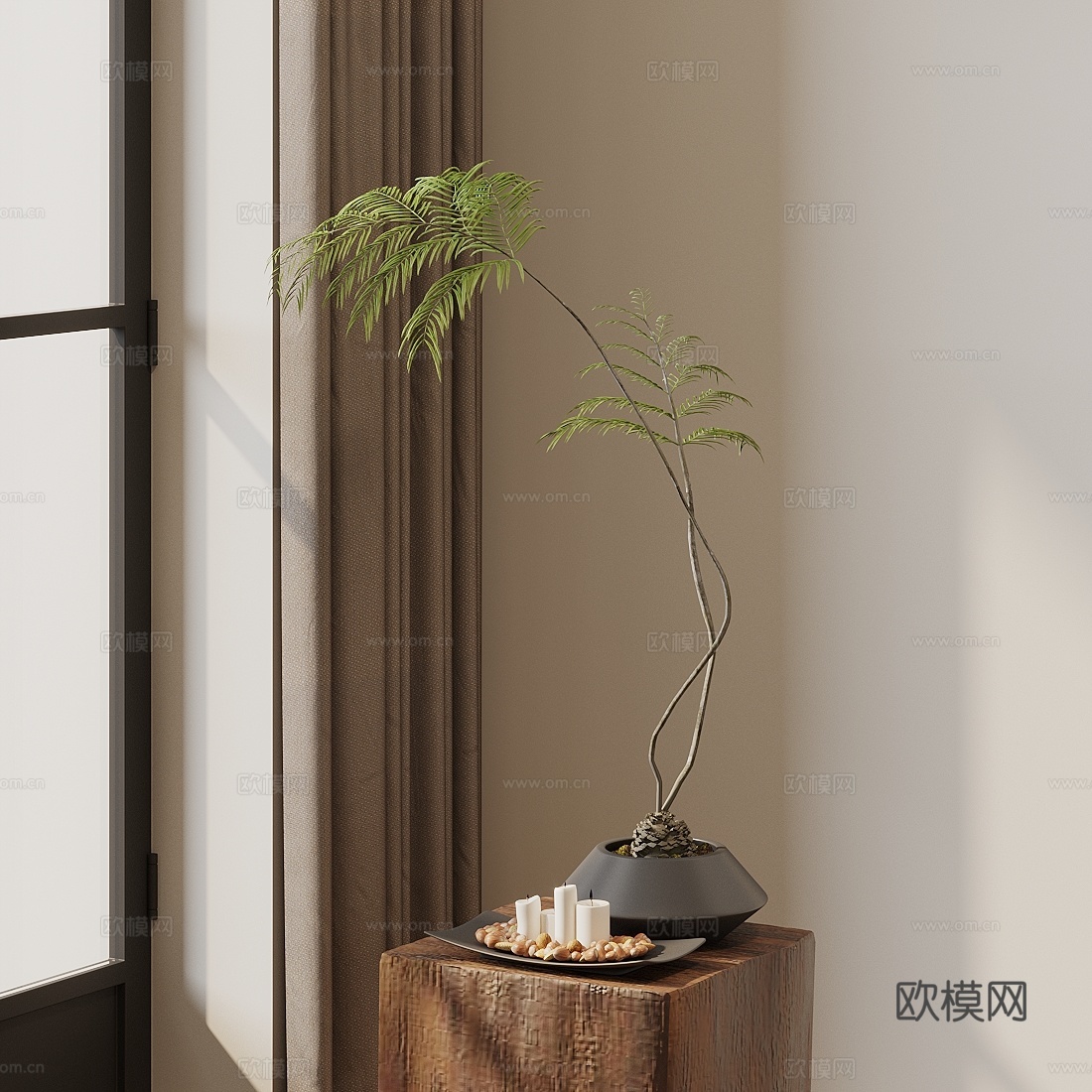 绿植盆栽 蕨类盆栽3d模型