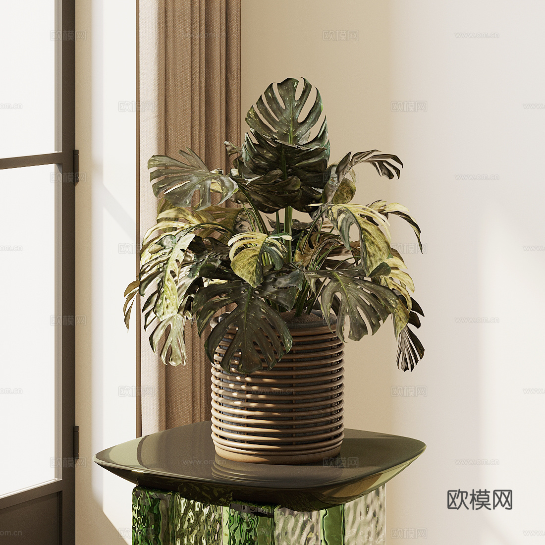 盆栽 绿植 花盆 龟背竹3d模型