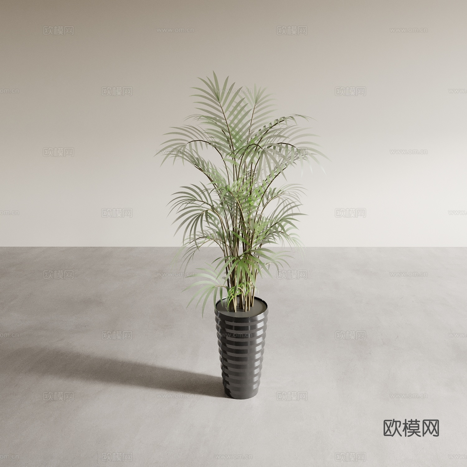 盆景盆栽 室内绿植 植物摆件 植物花盆 花瓶花盆3d模型