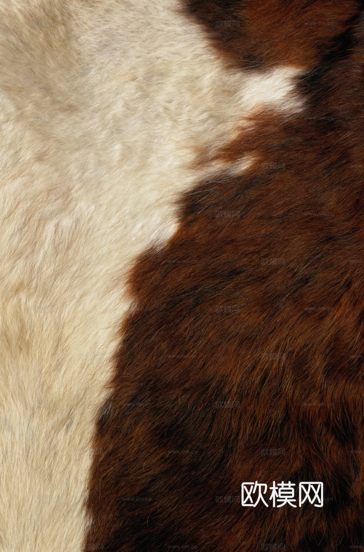 动物皮毛 毛发 地毯毛发 绒毛地毯 现代地毯下载