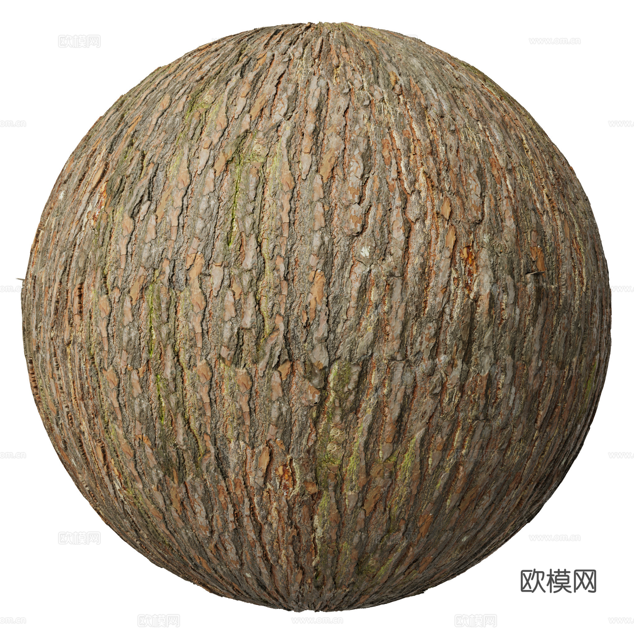 树皮