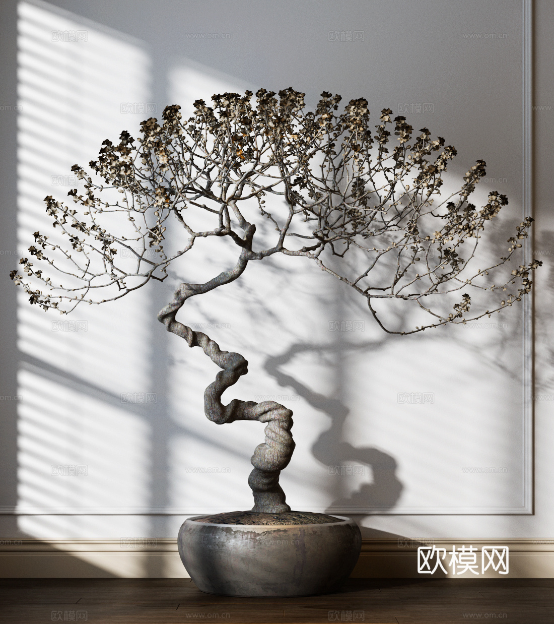 植物 花盆 盆景3d模型