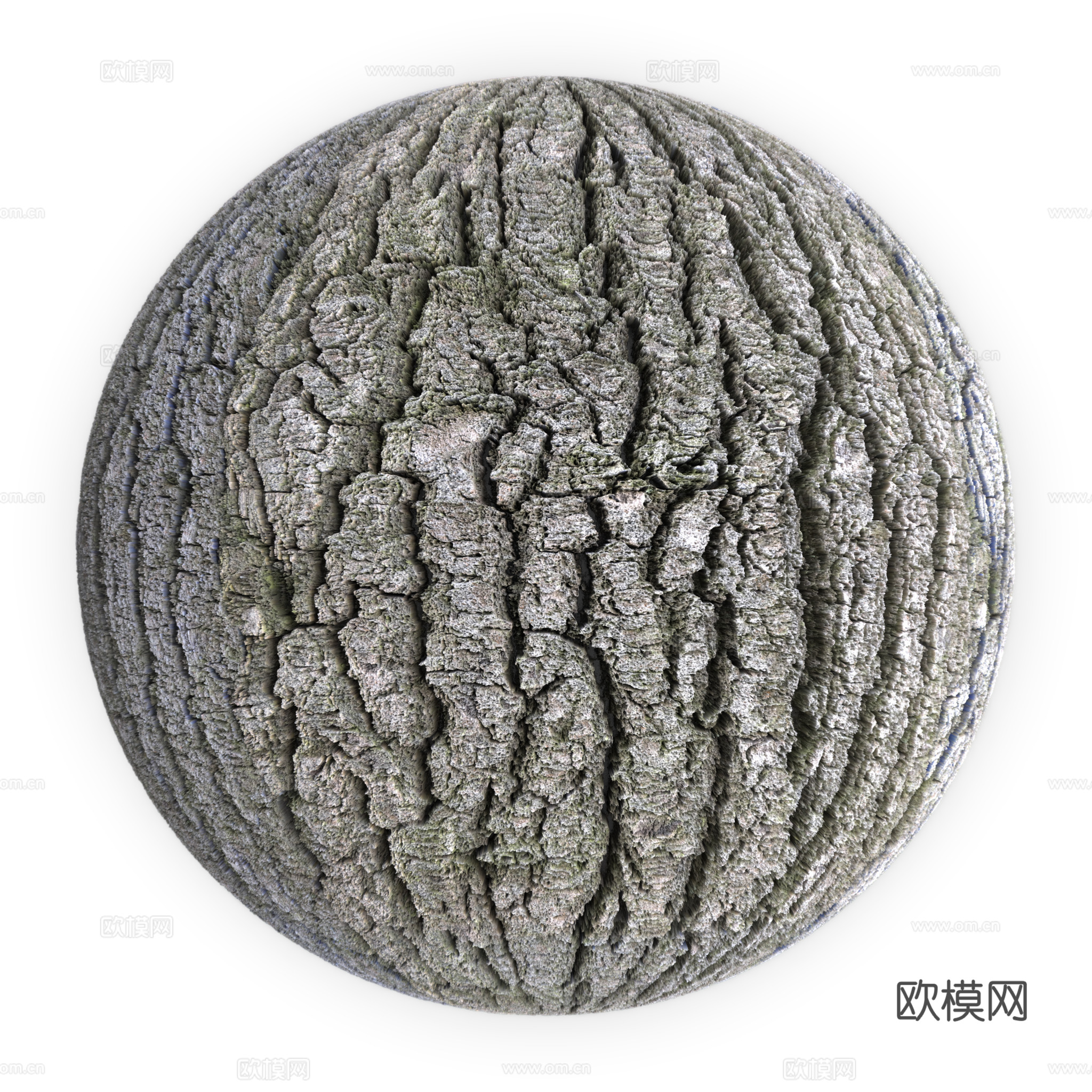 树皮