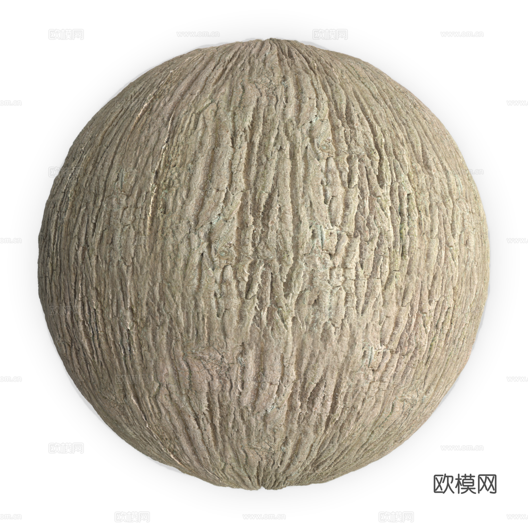树皮