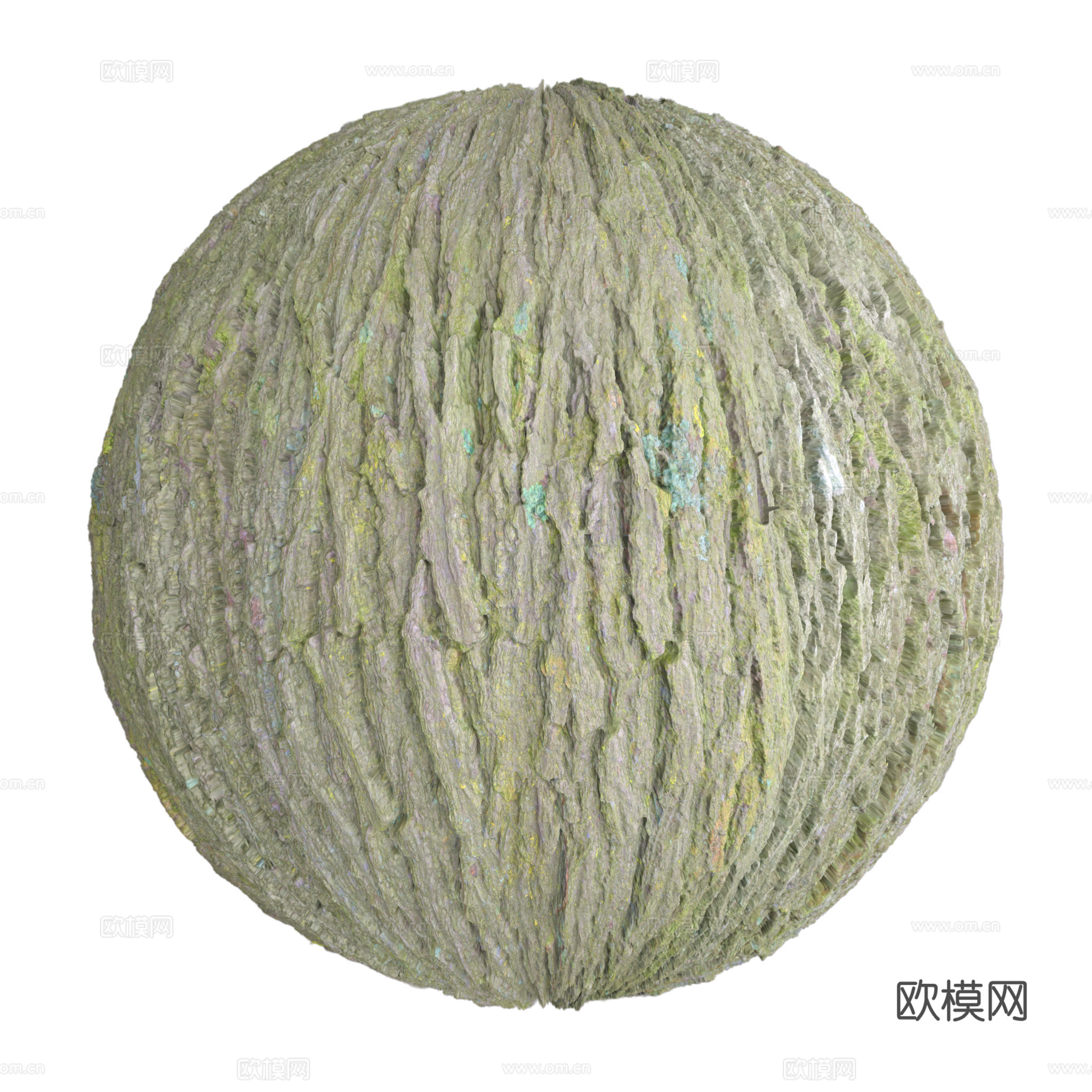 树皮