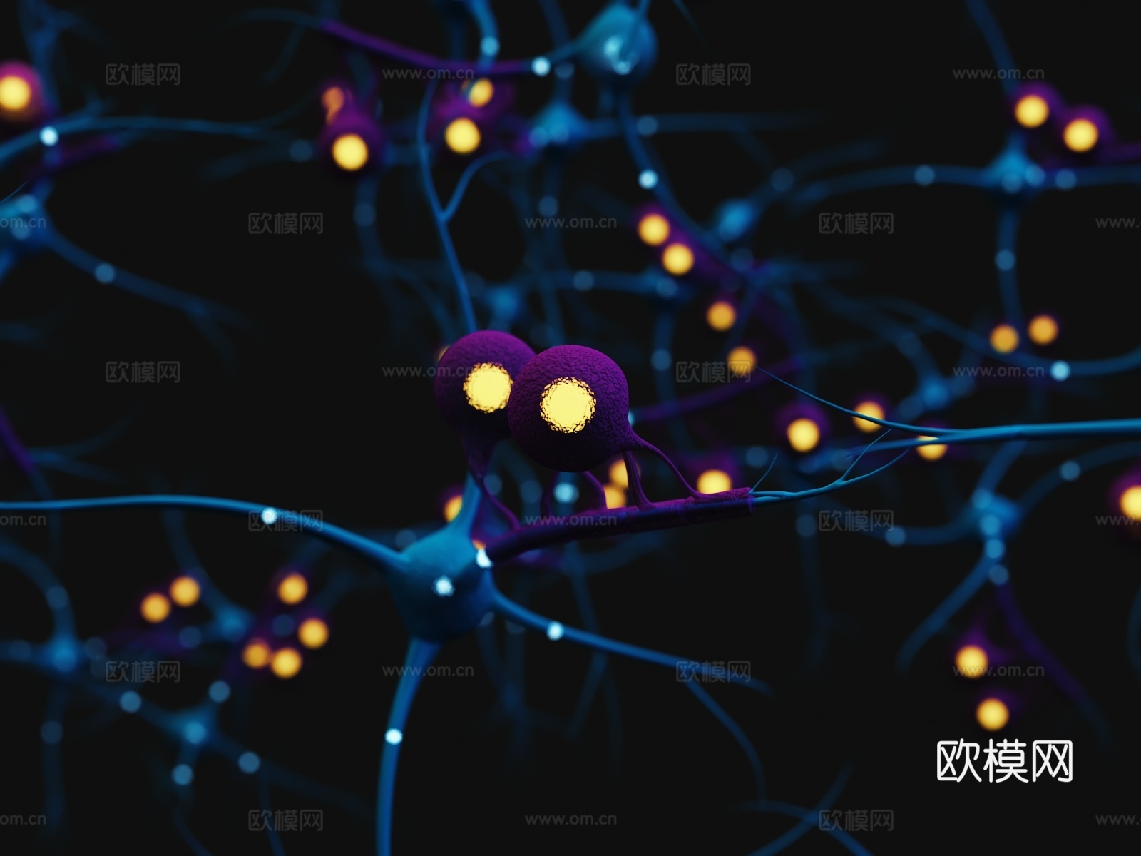 神经元 神经细胞 神经末梢 人体神经3d模型