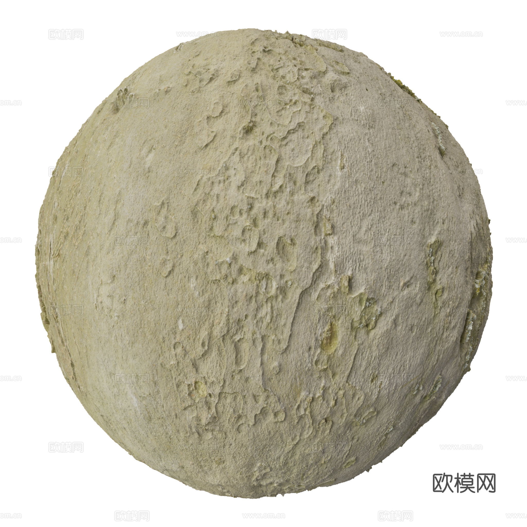 树皮