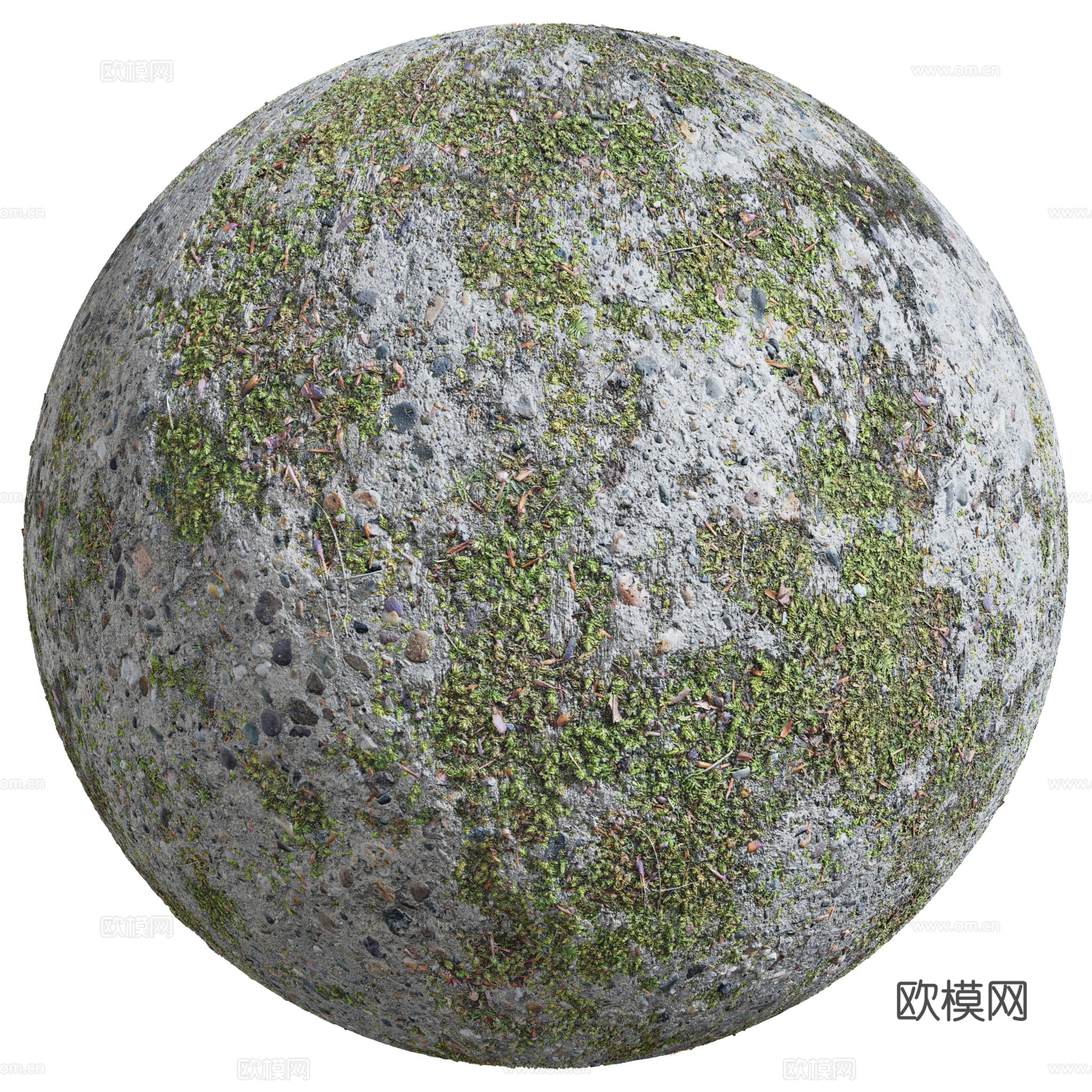 混凝土 墙面 立面