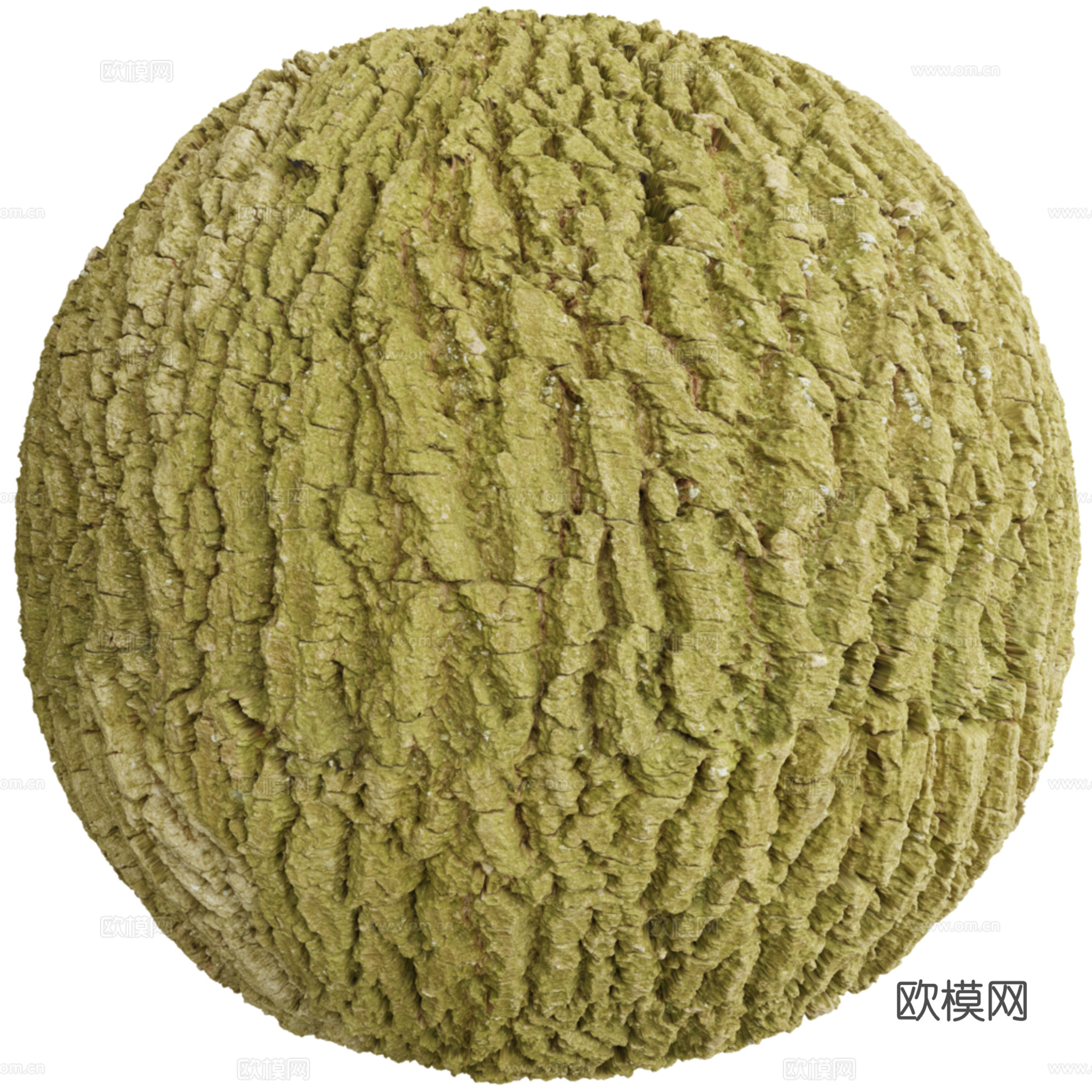 树皮