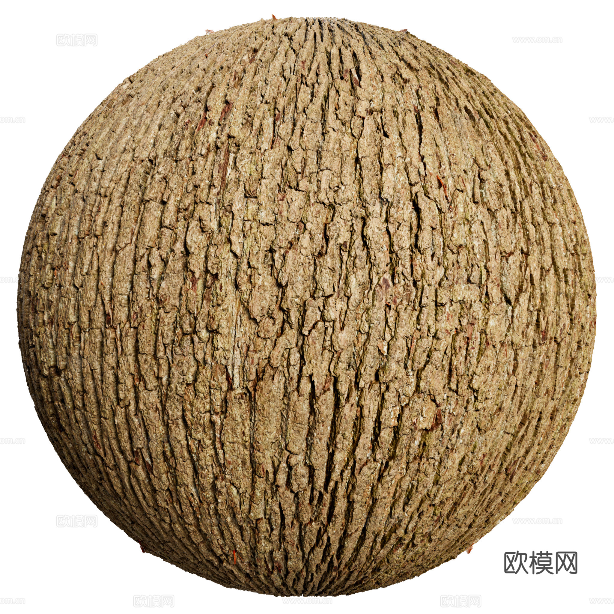 树皮
