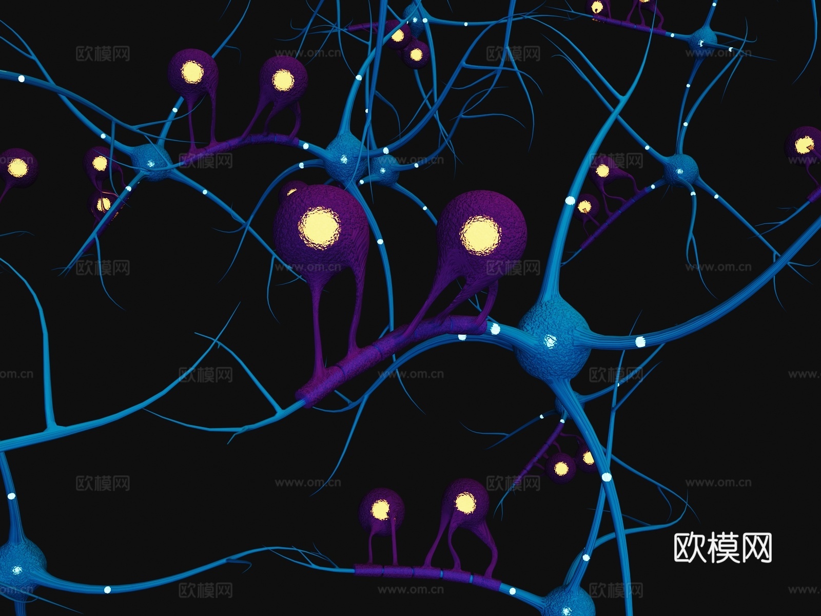 神经元 神经细胞 神经末梢 人体神经3d模型