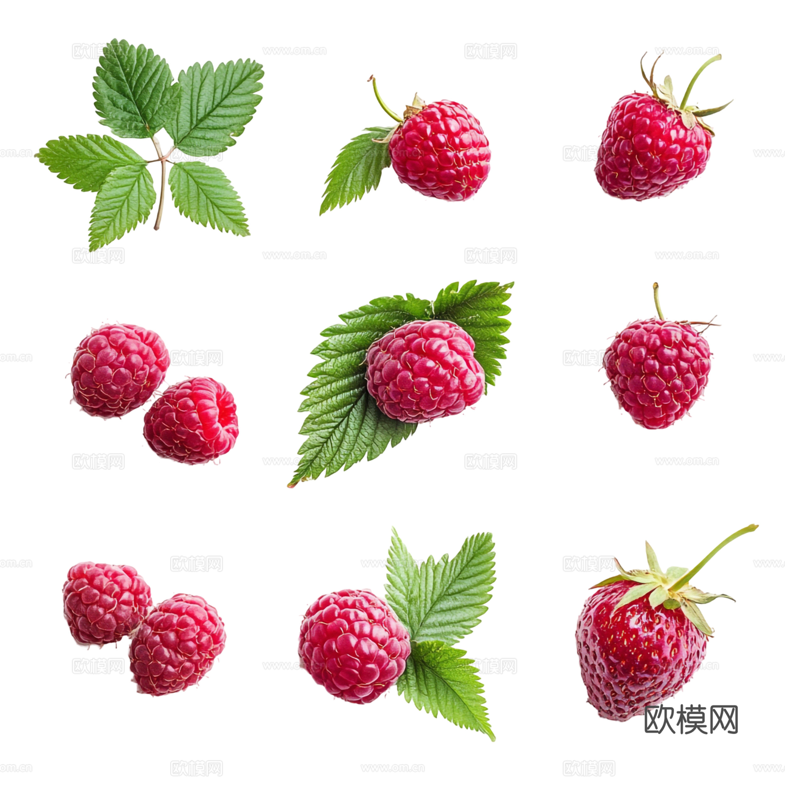 树莓 覆盆子 水果