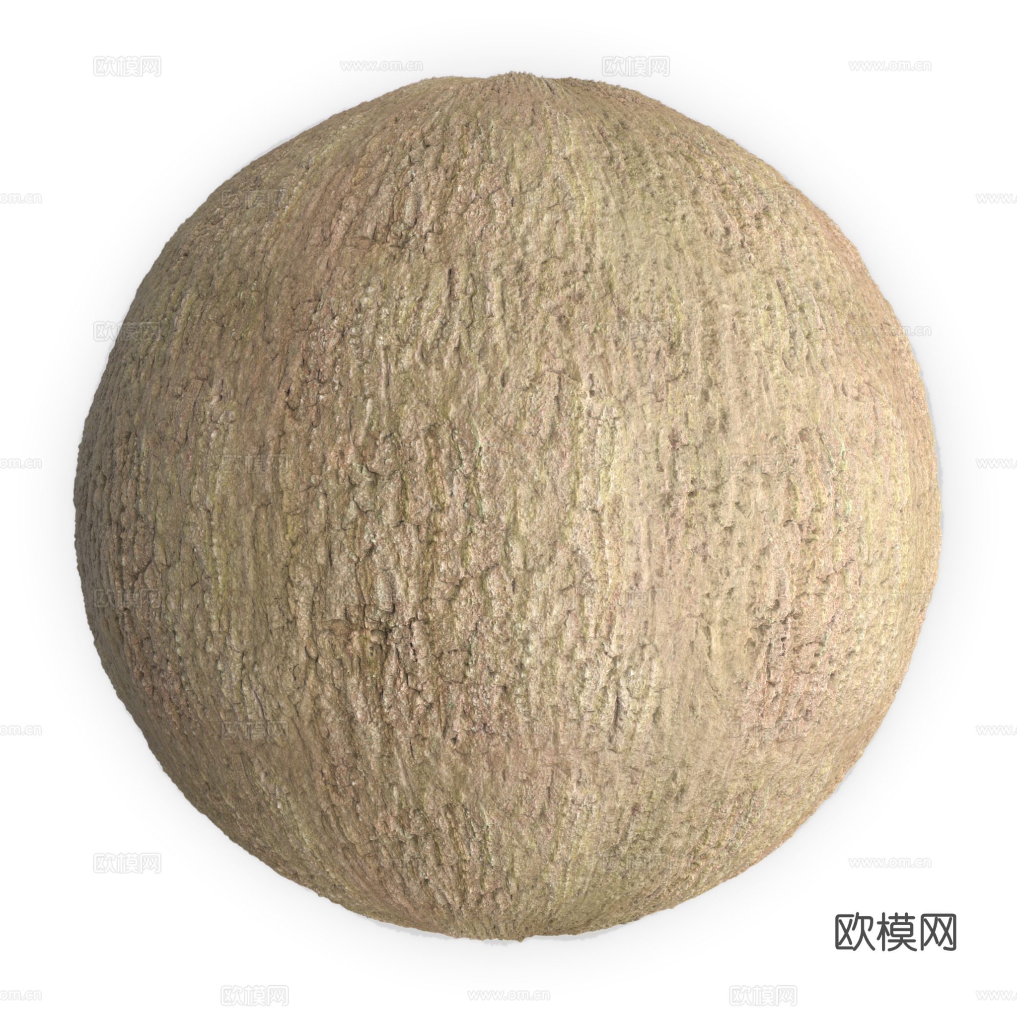 树皮