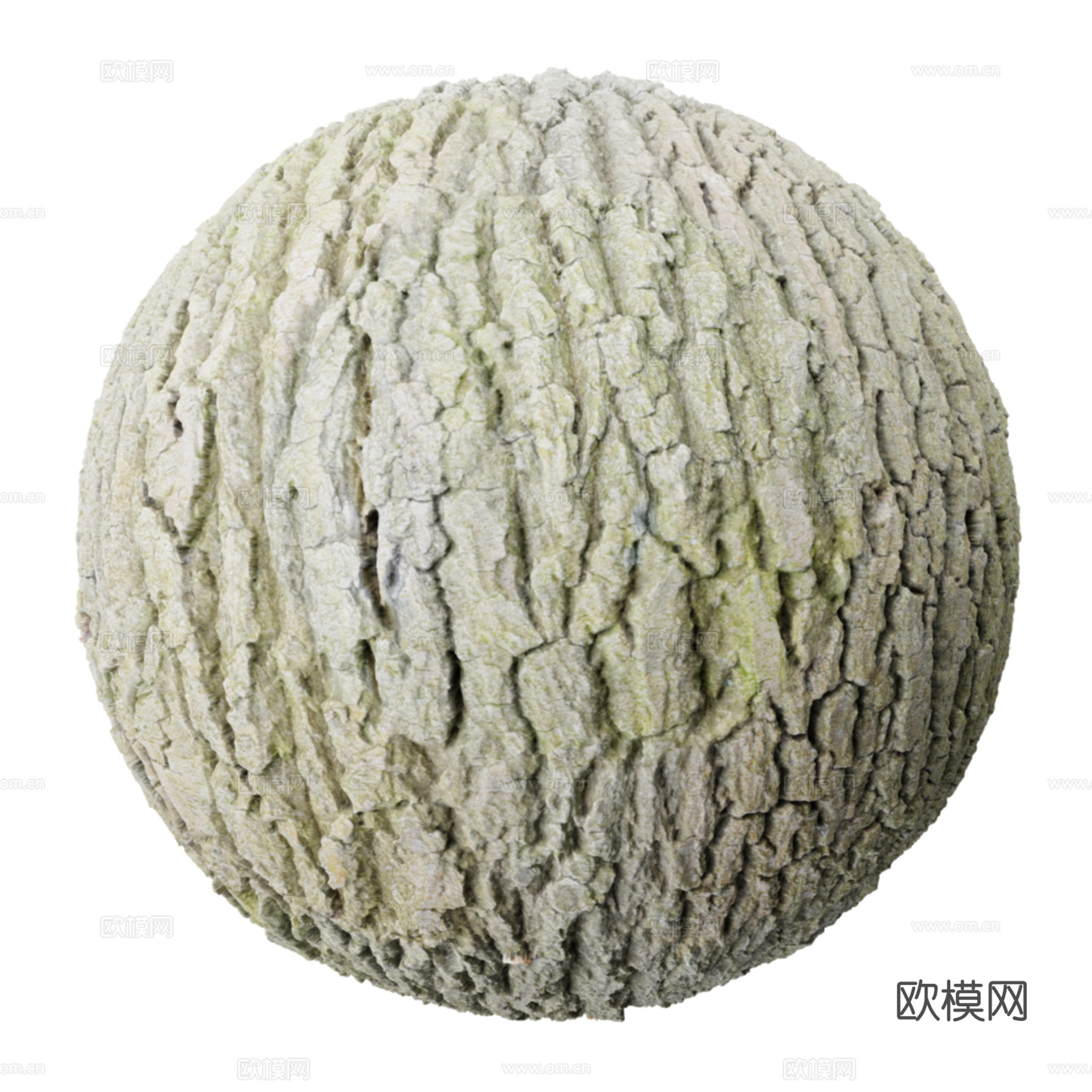 树皮
