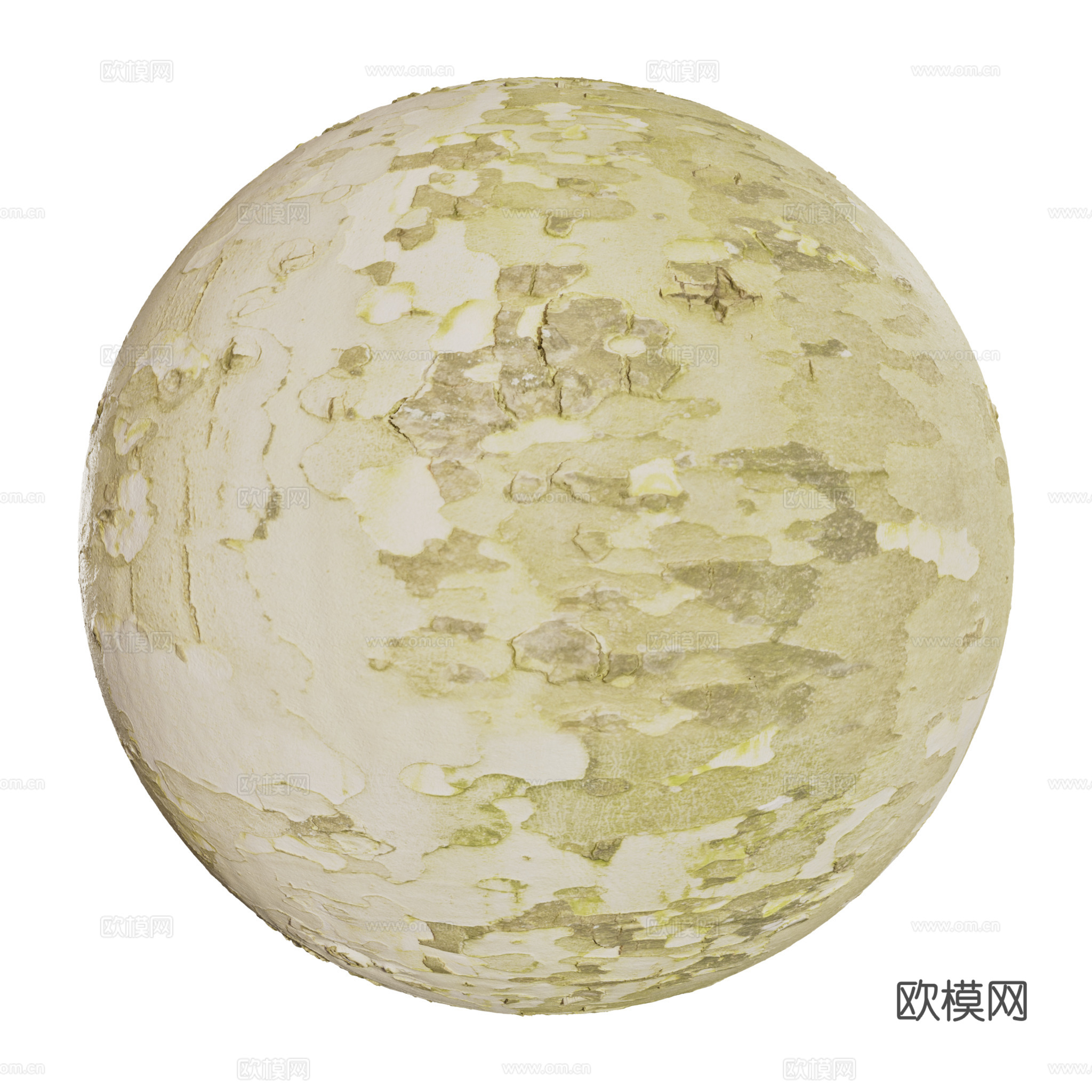 树皮