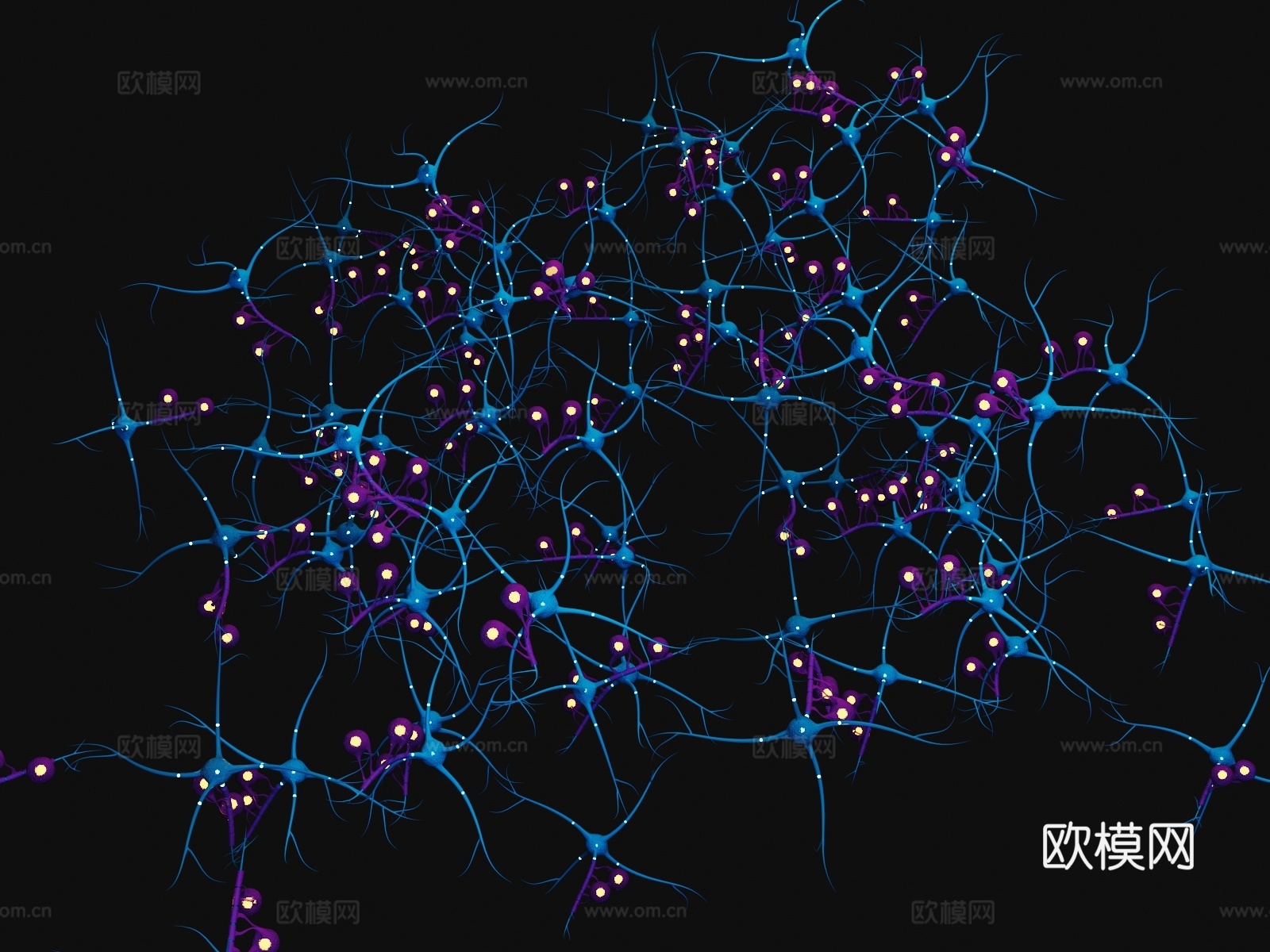 神经元 神经细胞 神经末梢 人体神经3d模型