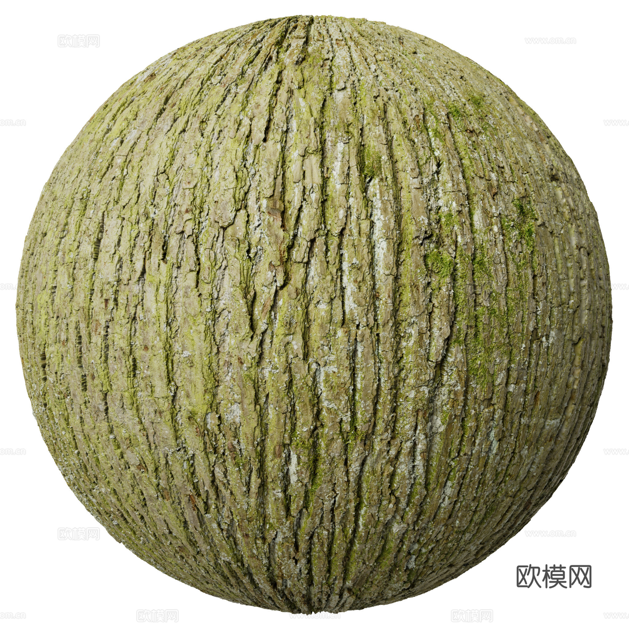 树皮