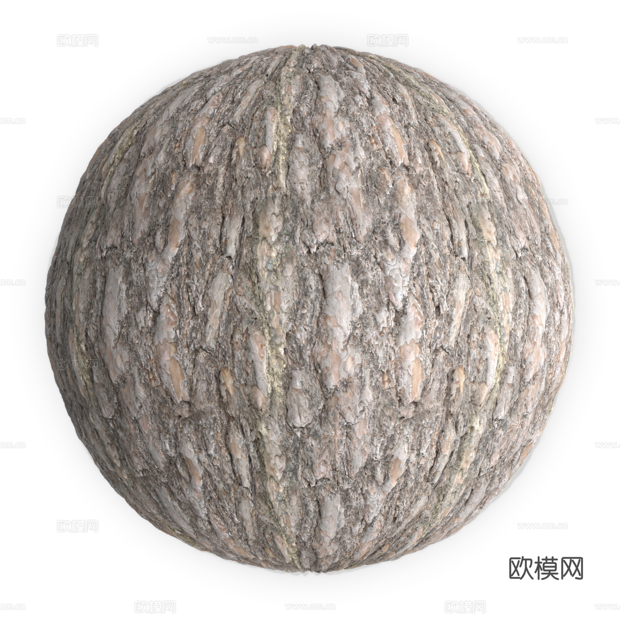 树皮
