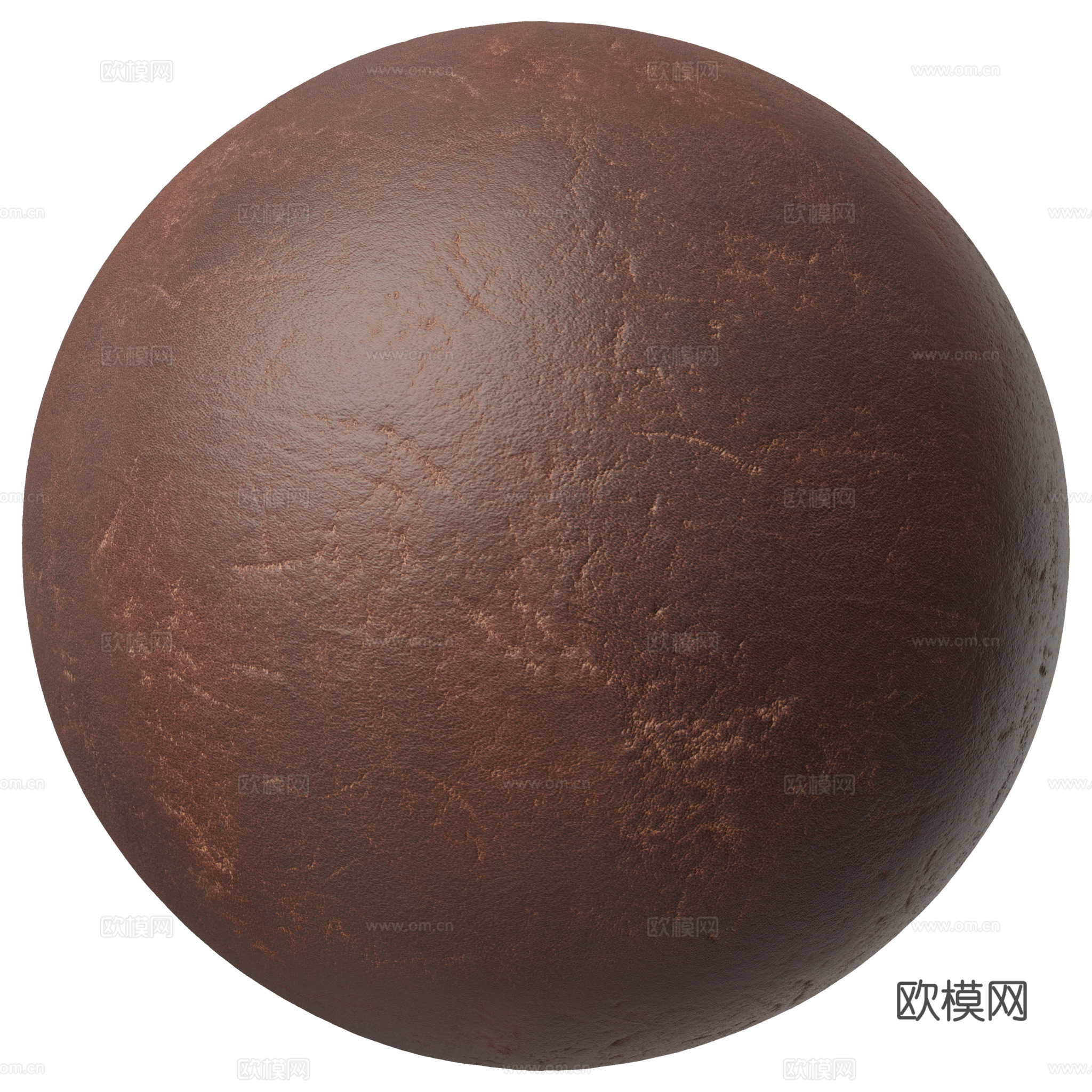 皮革 皮质