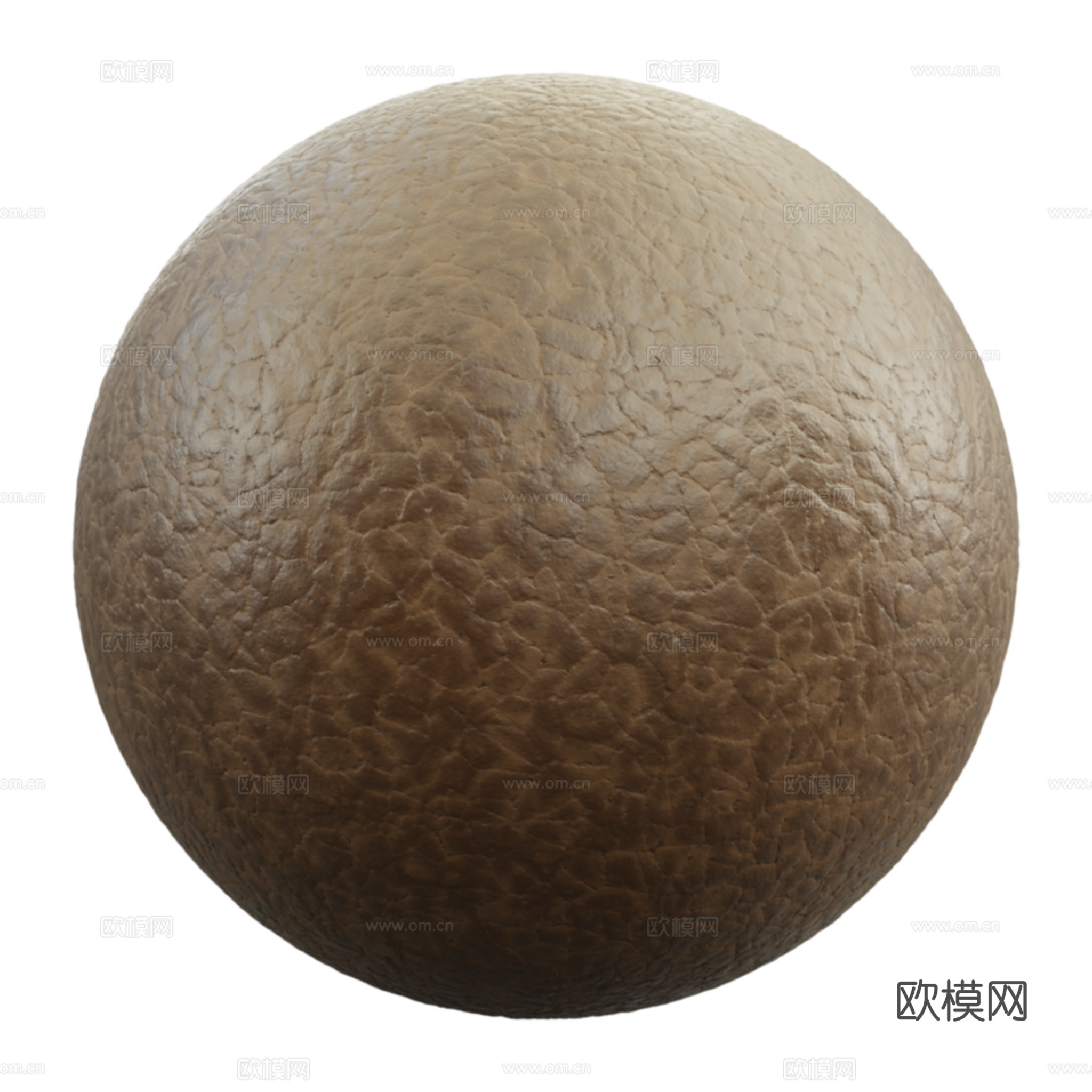 皮革 皮质