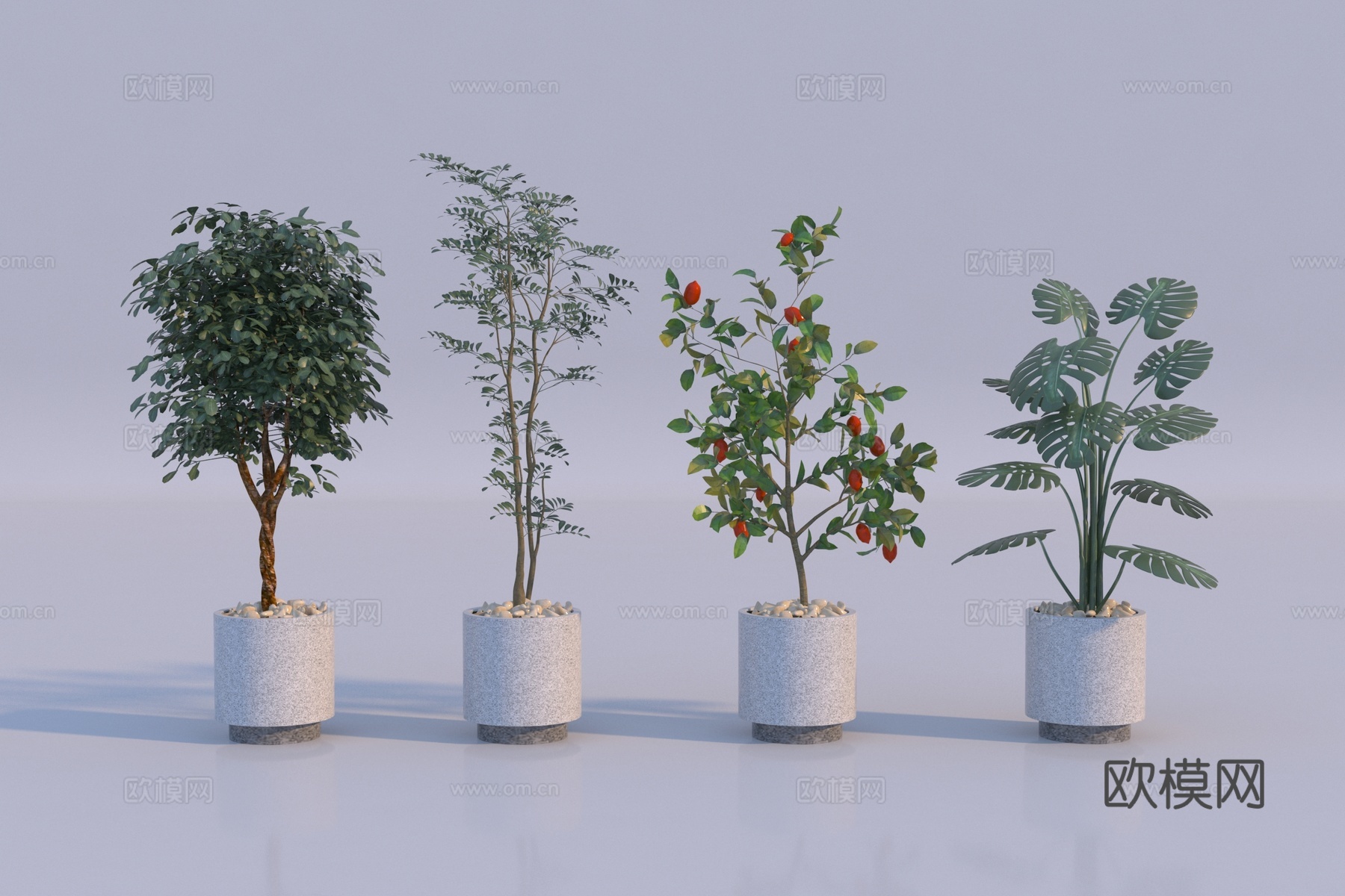 现代植物盆栽组合3d模型