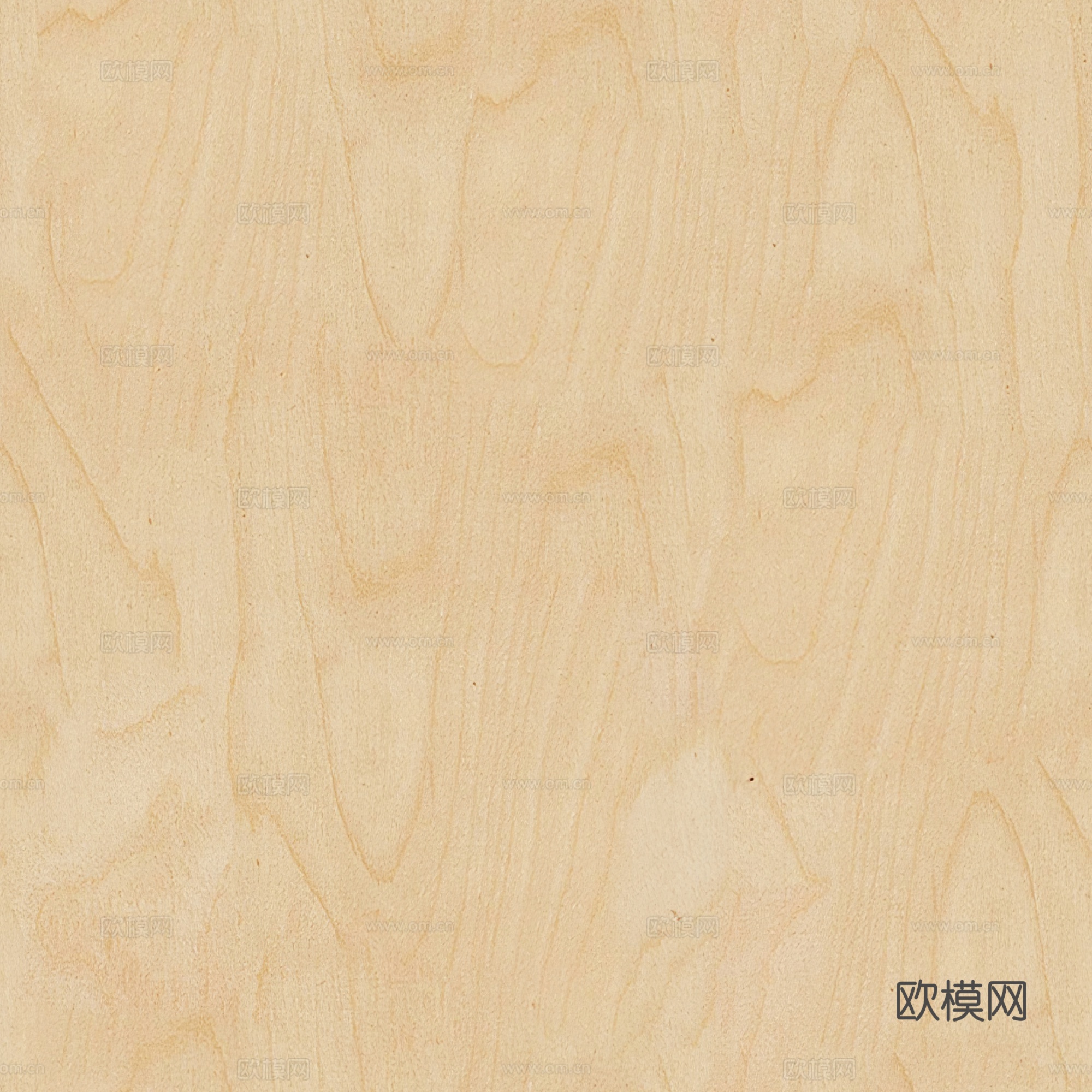 黄色海洋板桦木
