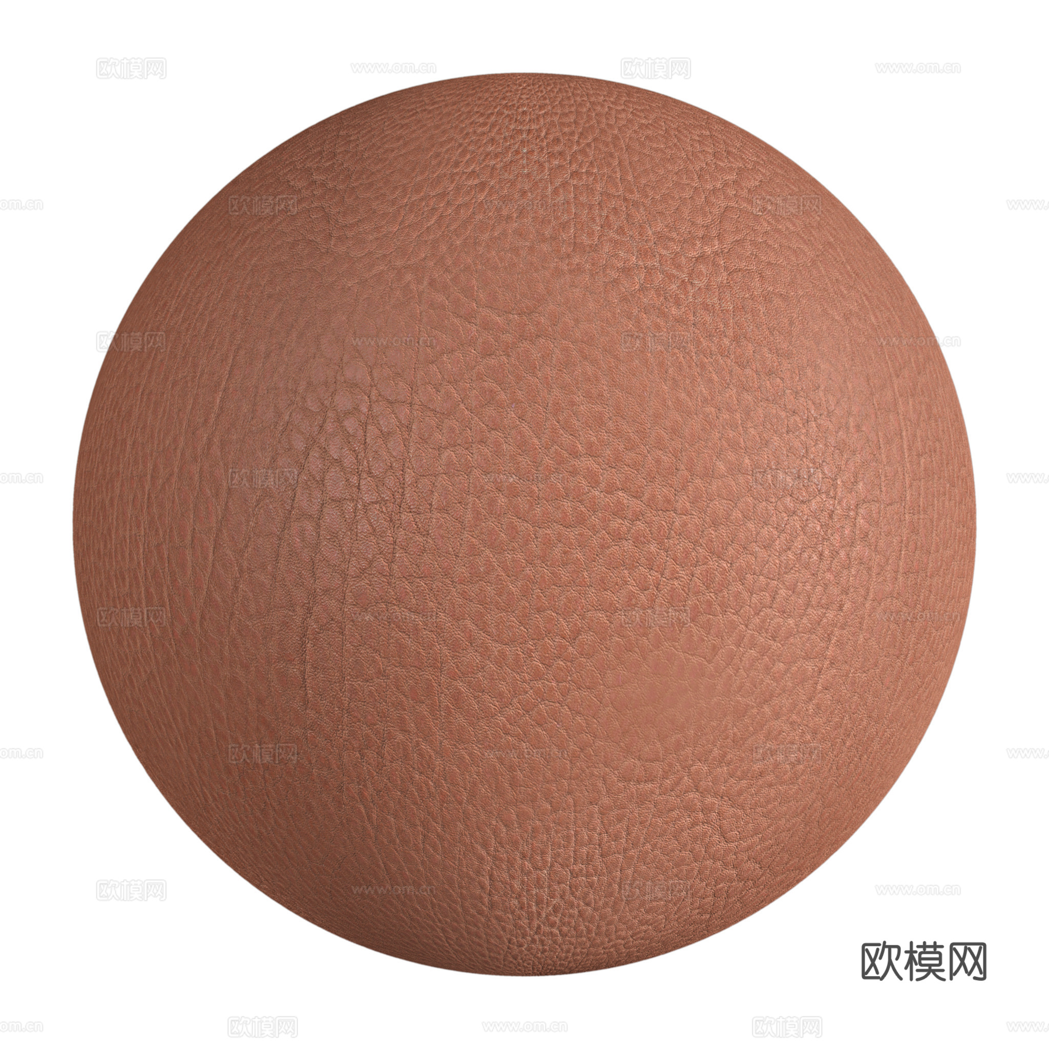 皮革 皮质