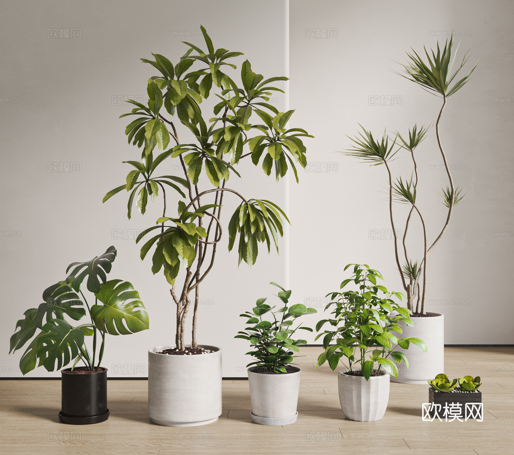 现代植物盆栽组合 绿植 落地su模型