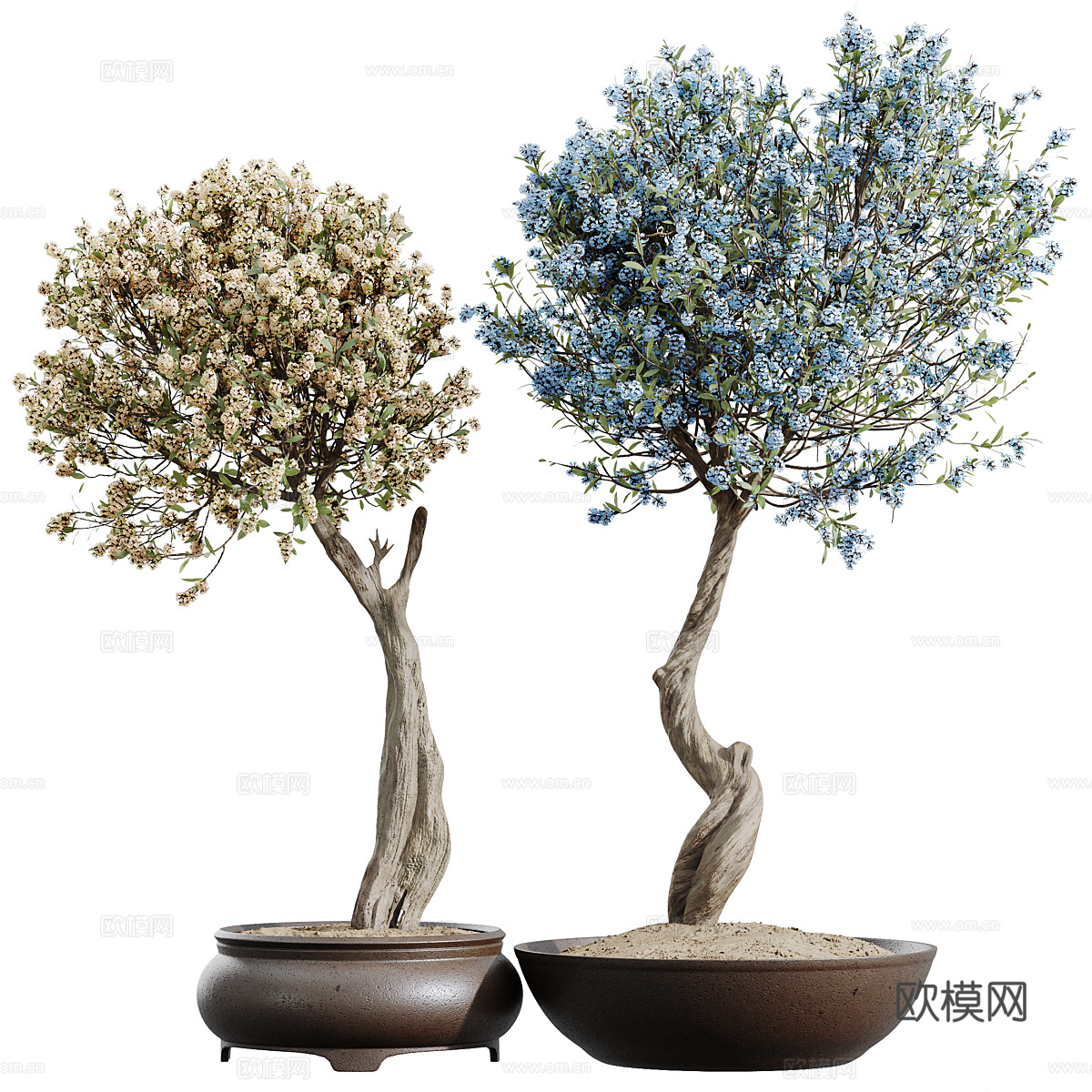 新中式樱花盆景盆栽3d模型