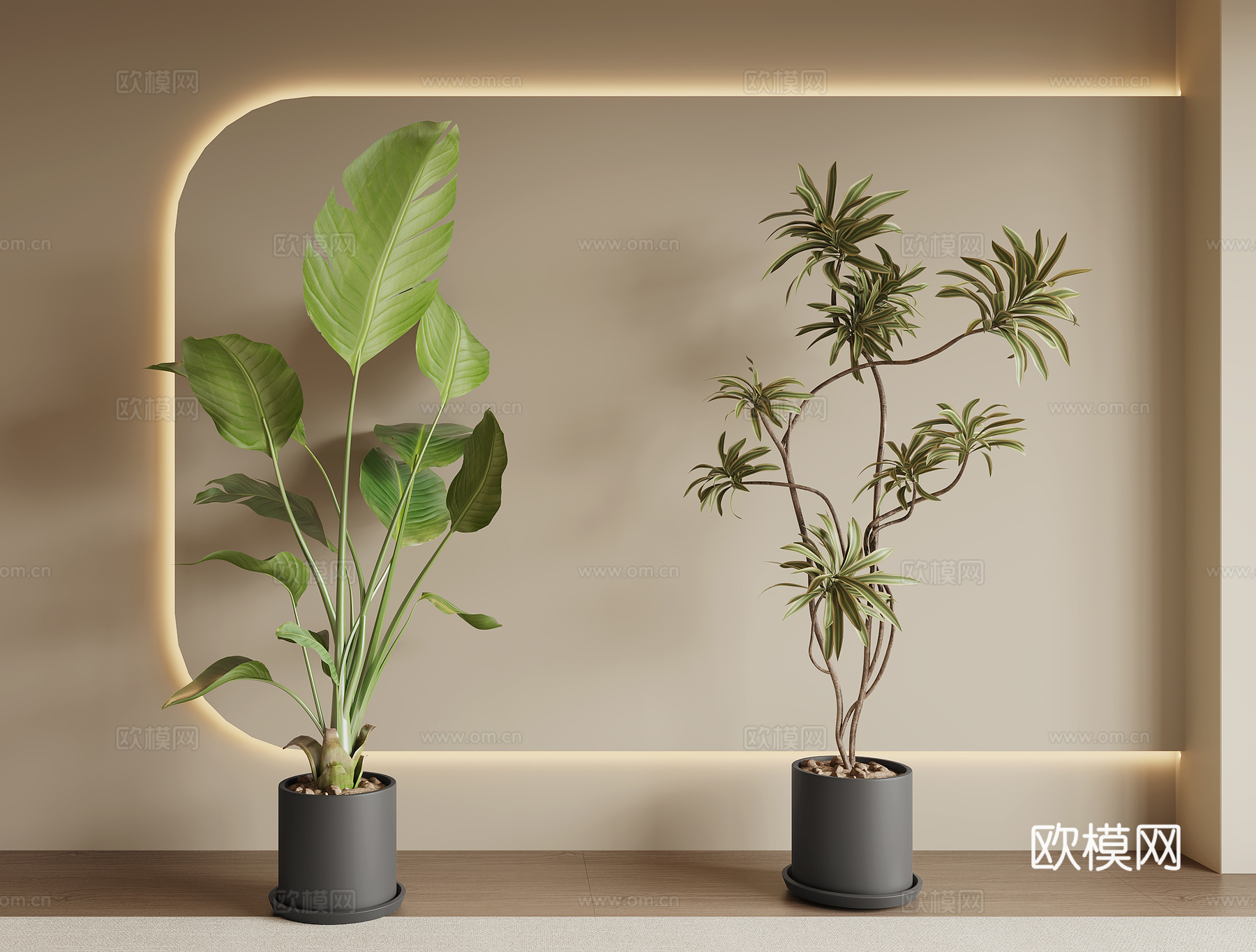 现代绿植盆栽3d模型