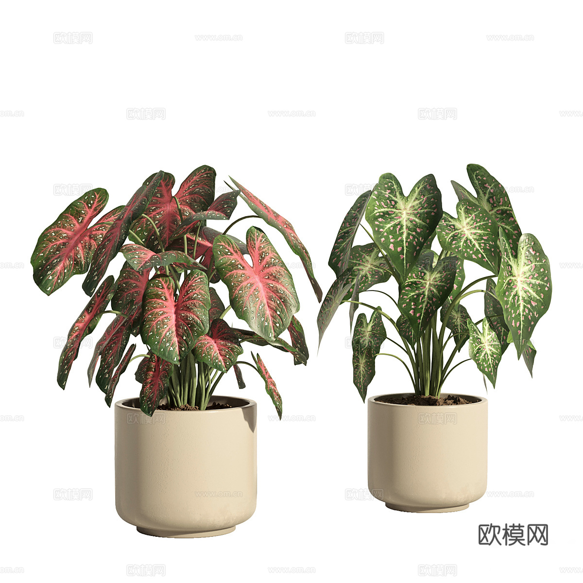 现代奶油风绿植盆景3d模型