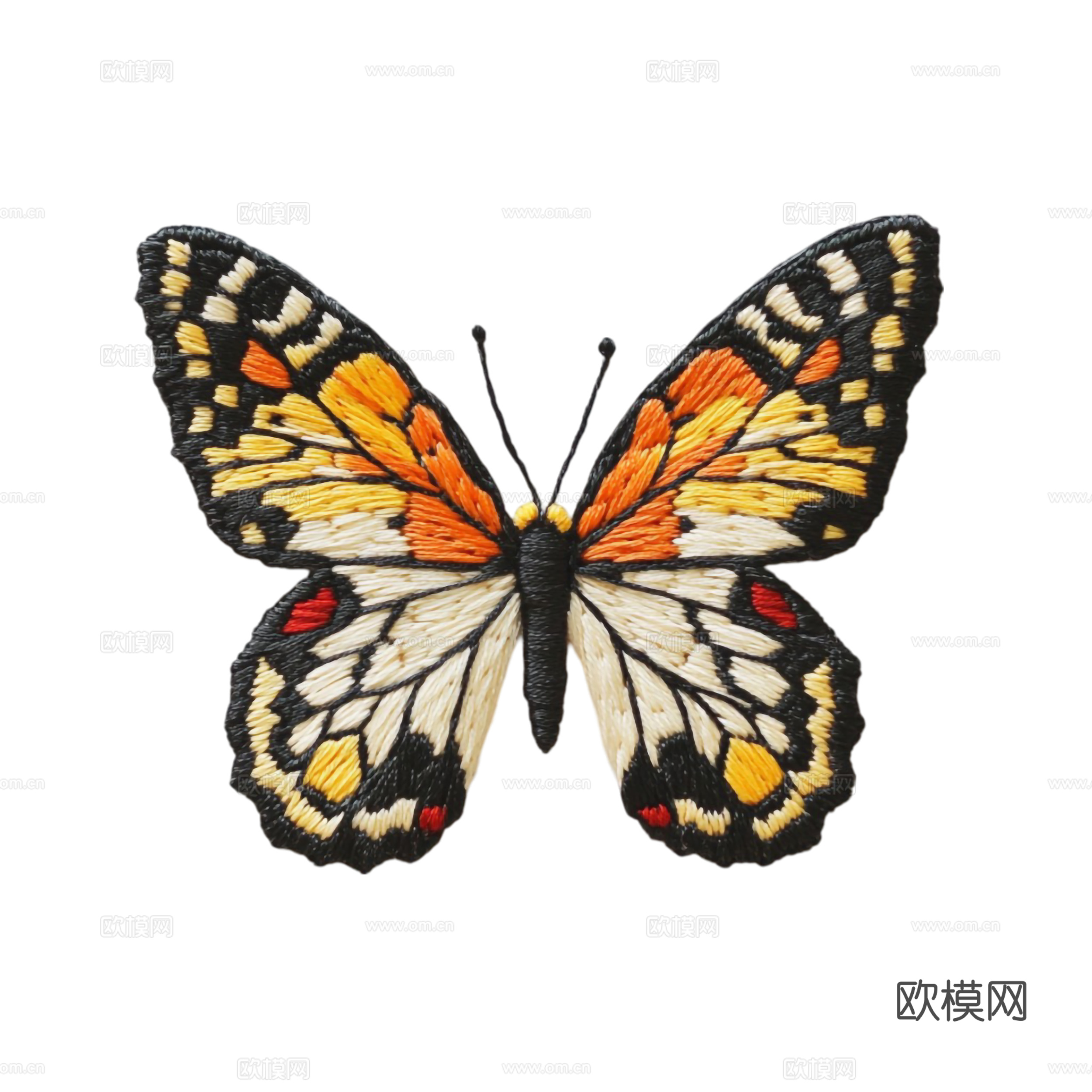 多彩蝴蝶  黑黄  蝴蝶 展开 白色蝴蝶  昆虫