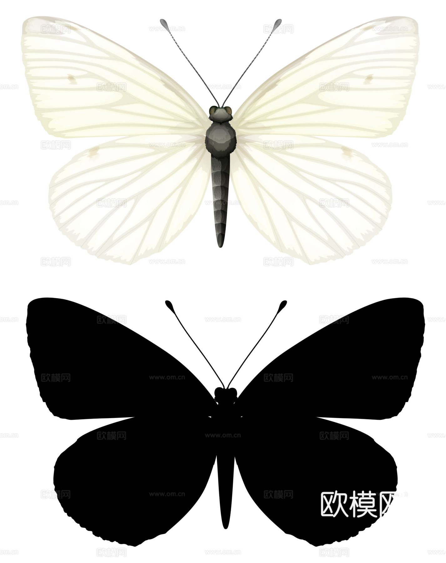黑白蝴蝶  黑白纹理 蝴蝶 展开 白色蝴蝶 透明