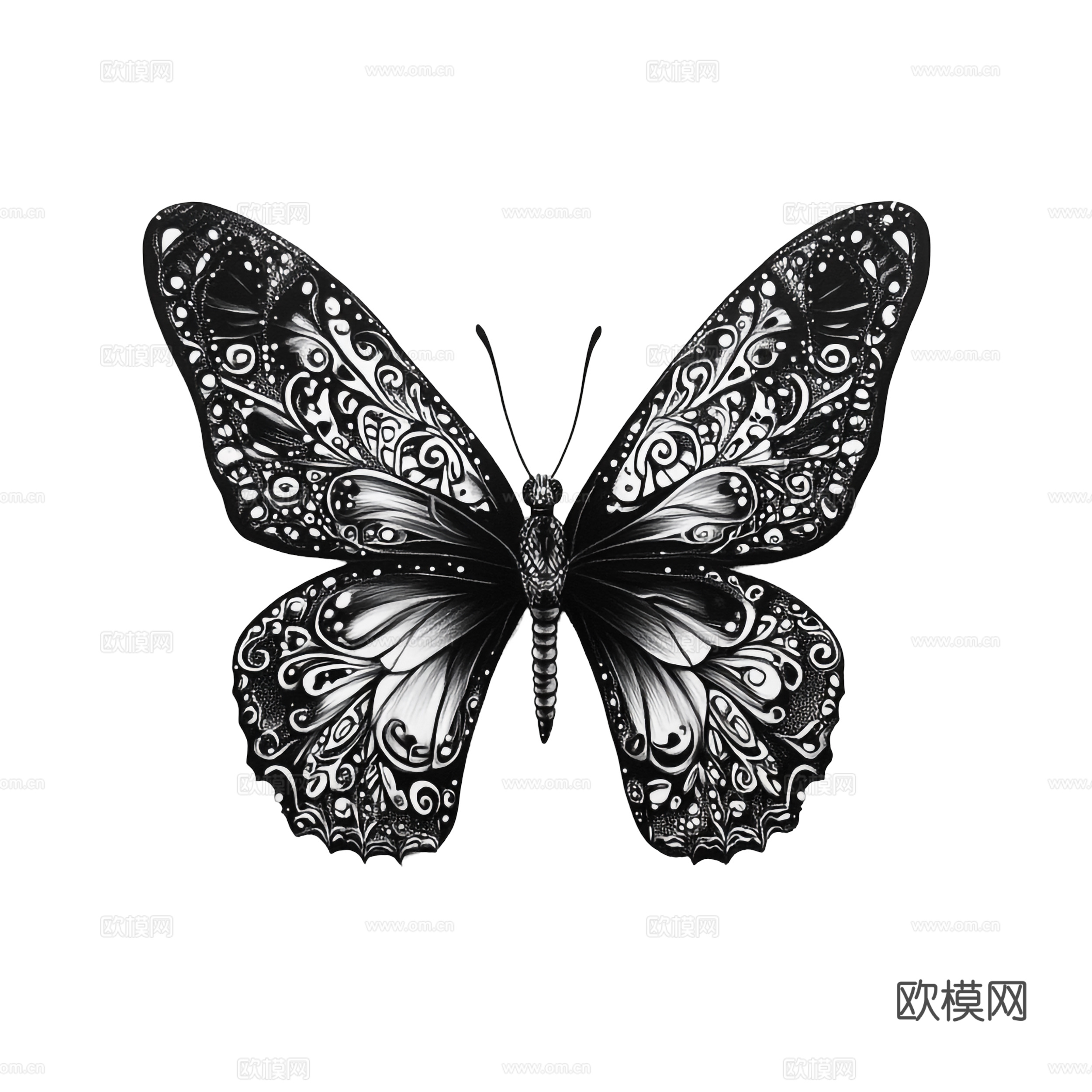 黑白蝴蝶  黑白纹理 蝴蝶 展开