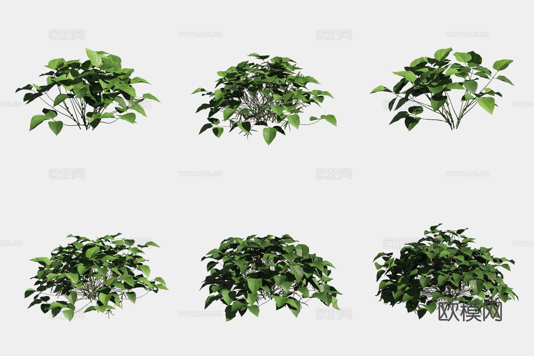 绿豆农作物庄稼蔬菜3d模型