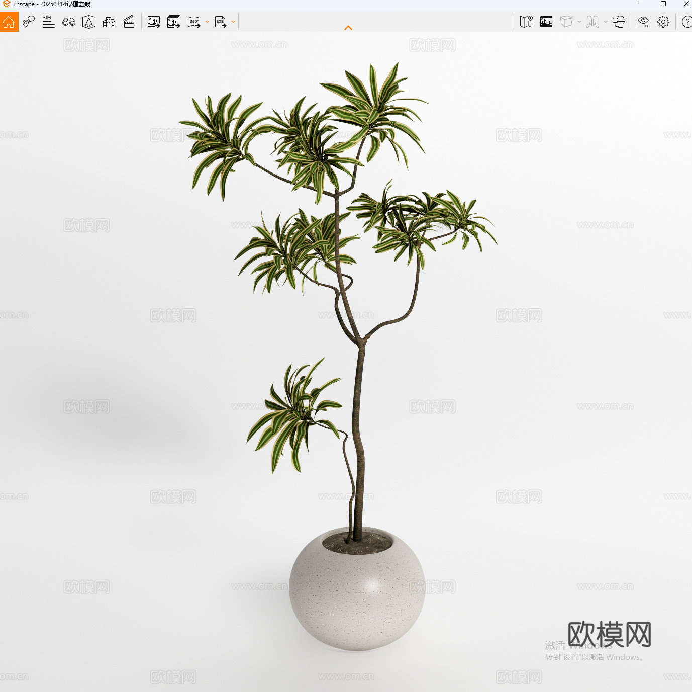 盆栽 绿植摆件su模型