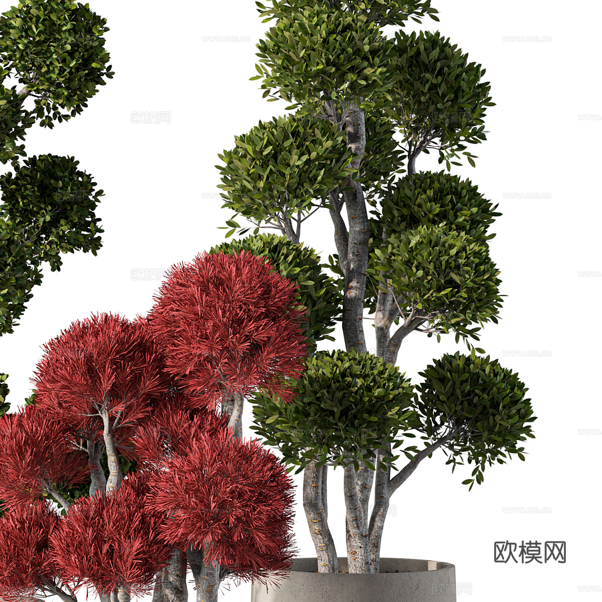 新中式侘寂盆栽3d模型