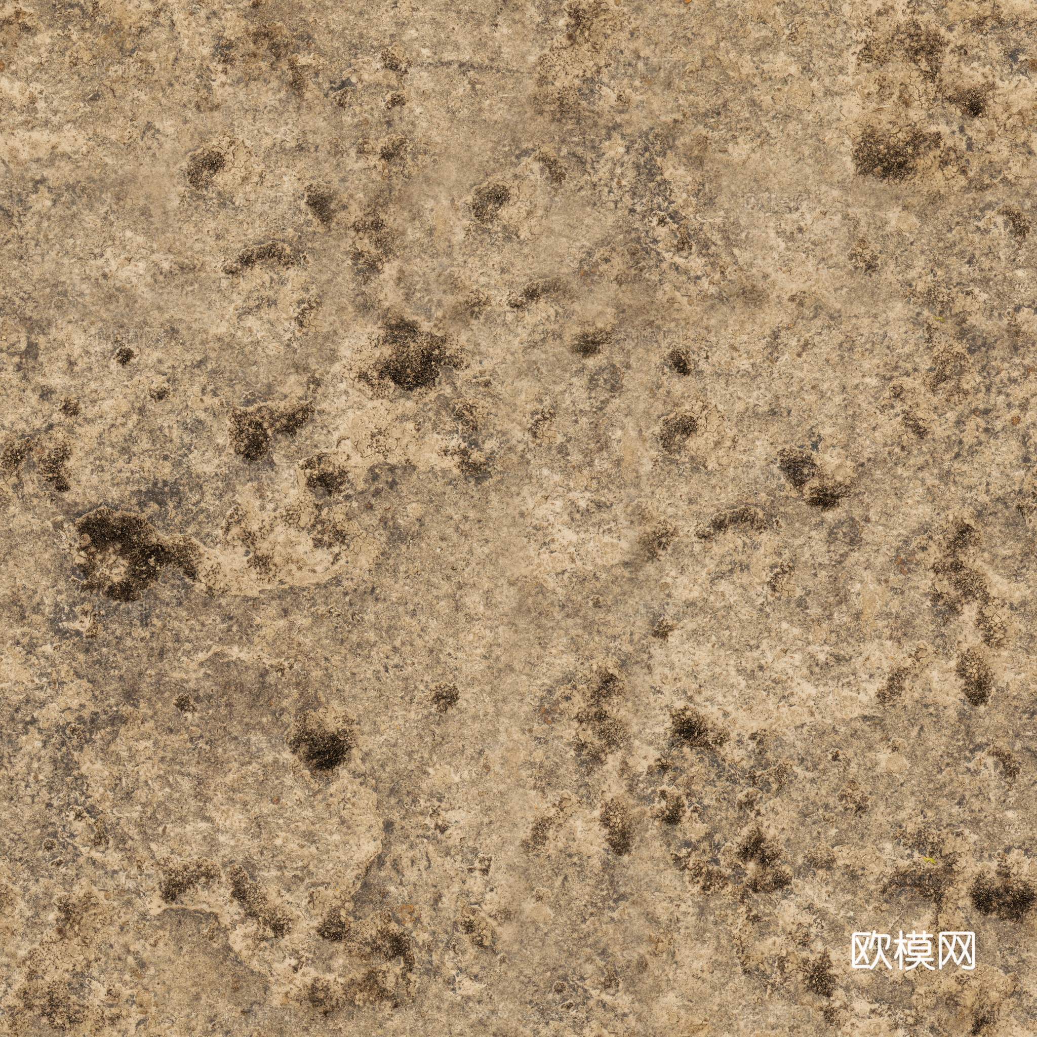 地面 地貌 沙滩 土壤 碎石 雪地
