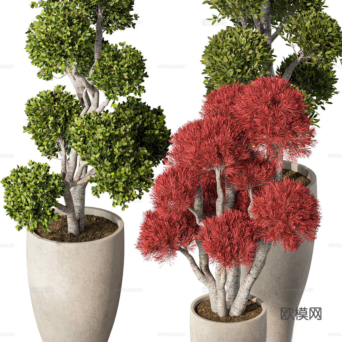 新中式侘寂盆栽3d模型