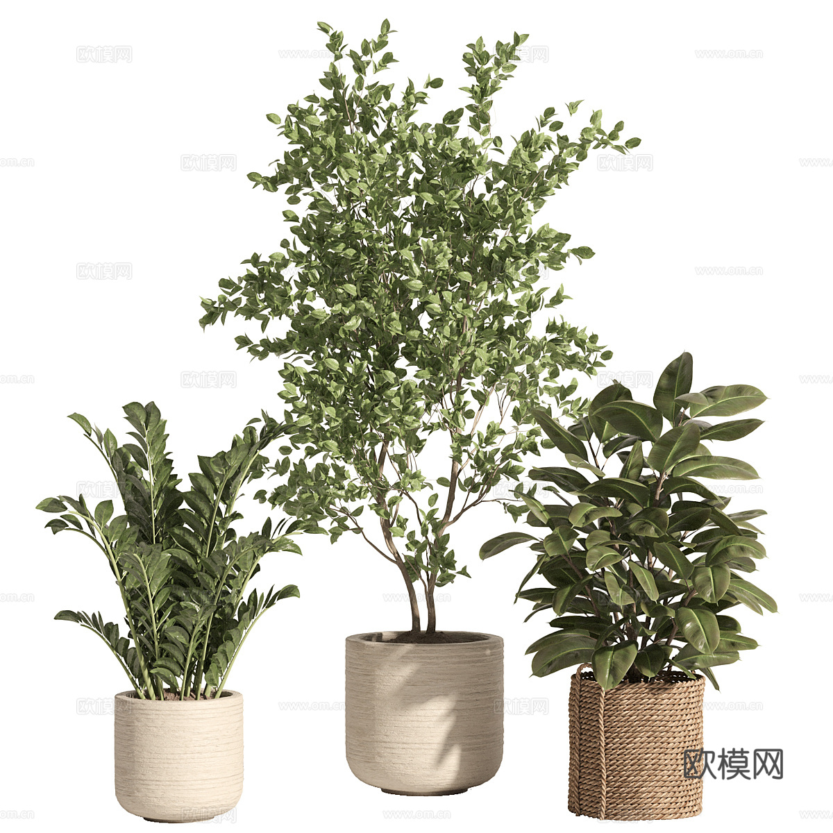 新中式侘寂盆栽3d模型