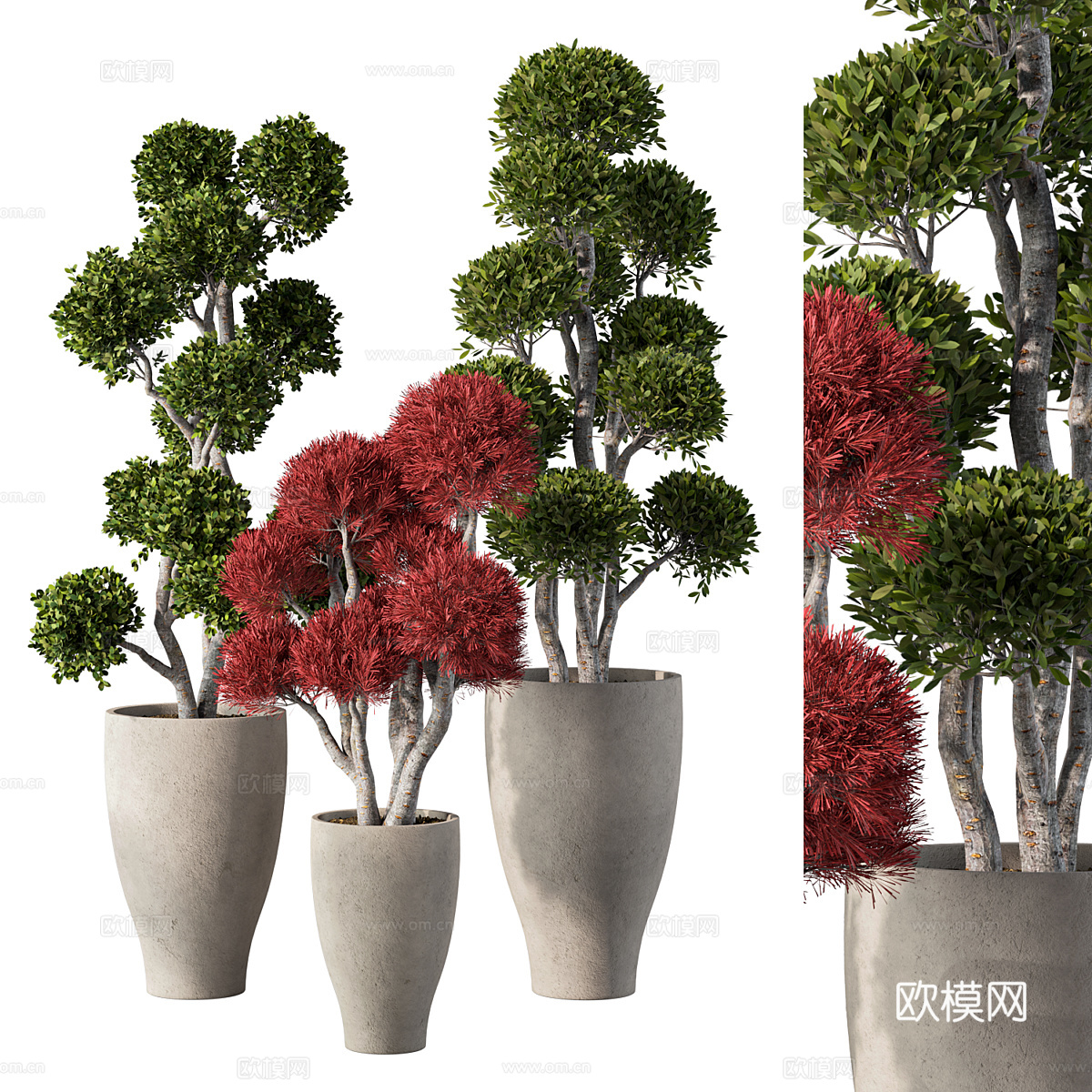新中式侘寂盆栽3d模型