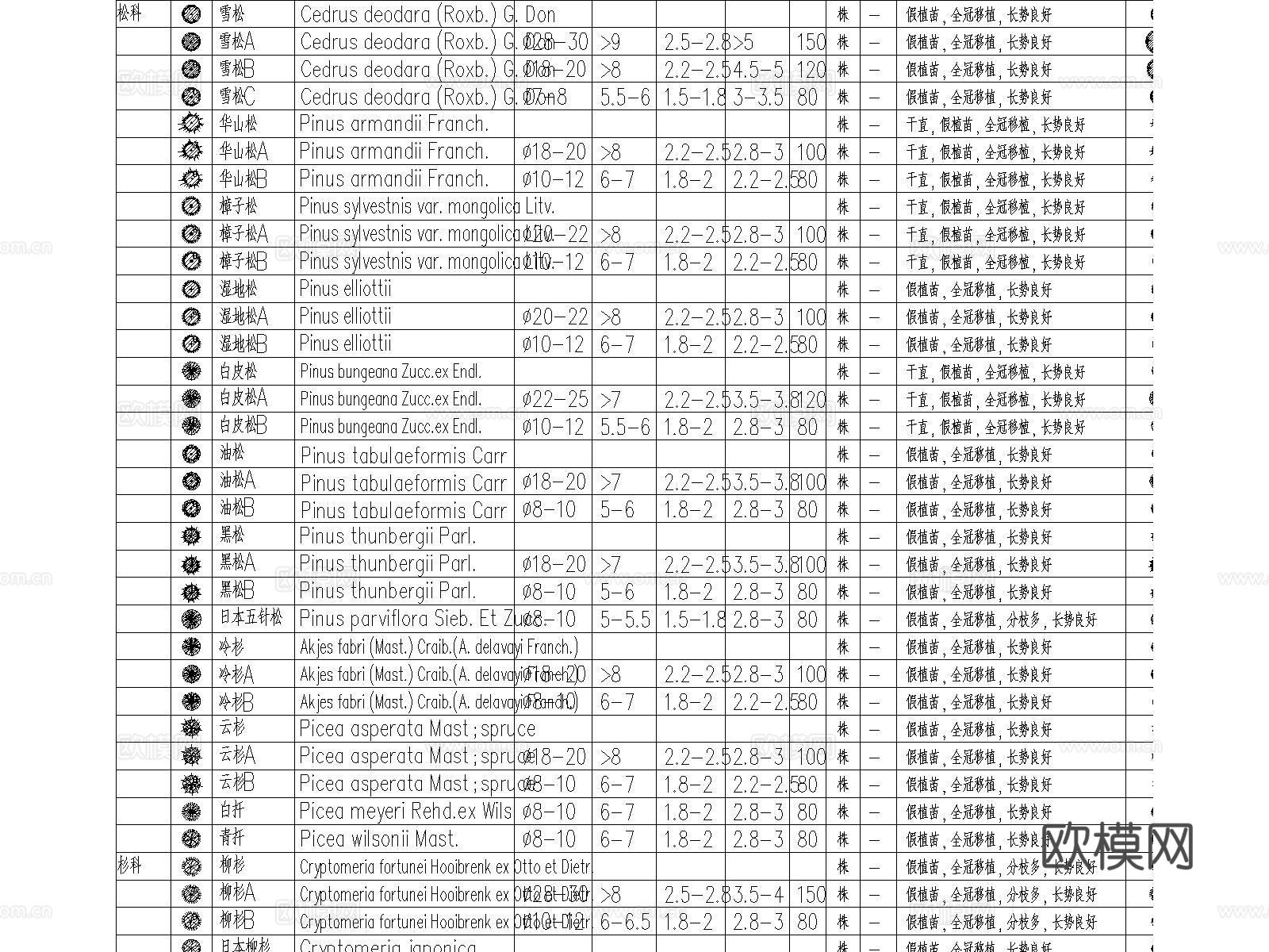 全国苗木表整理统一苗目规格5套绿化种植图cad施工图