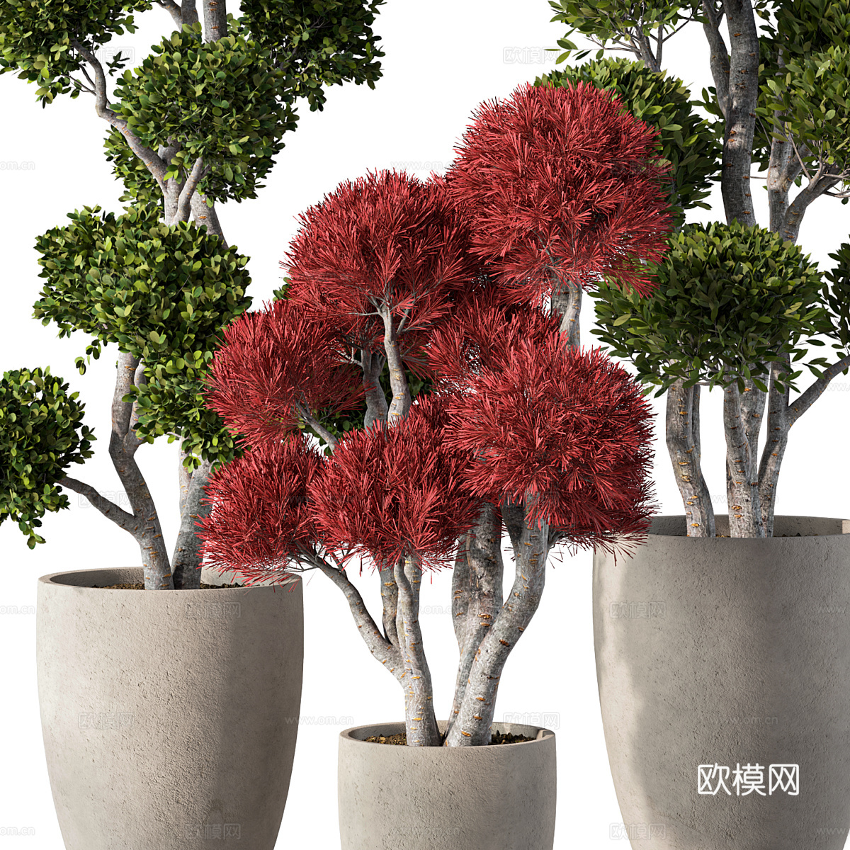 新中式侘寂盆栽3d模型