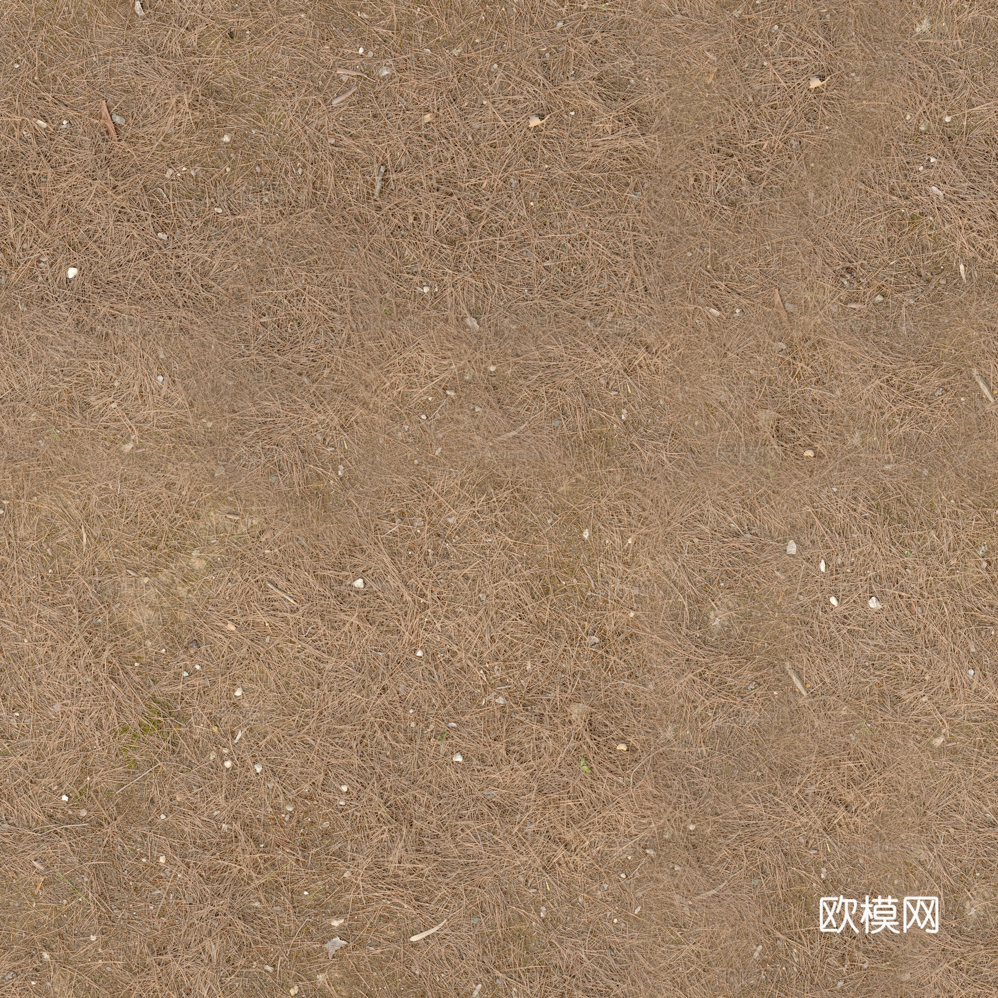 地面 地貌 沙滩 土壤 碎石 雪地