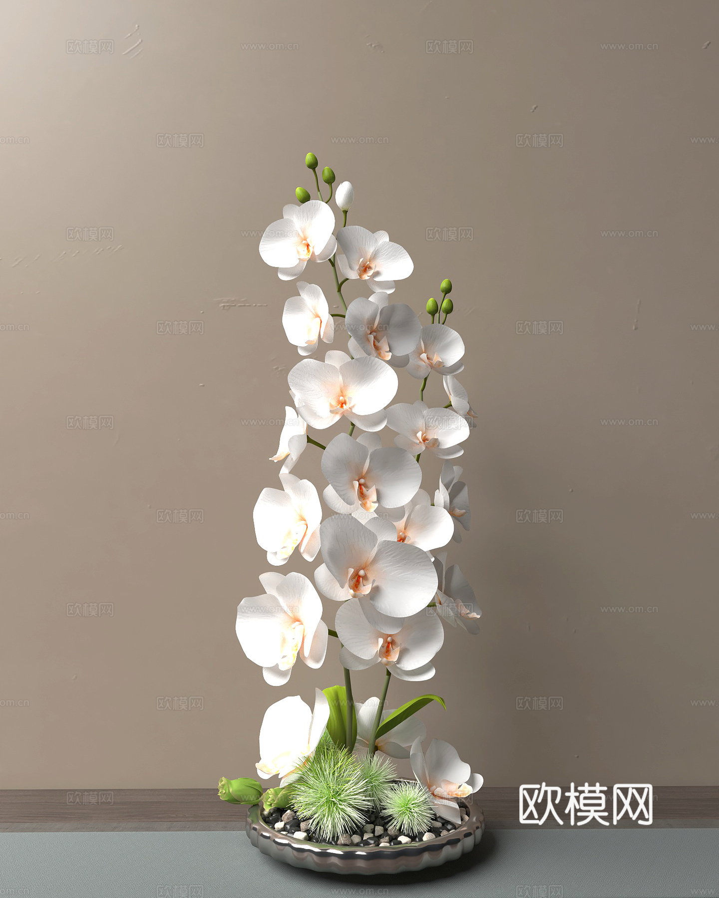 盆栽 花盆 盆景 花卉3d模型