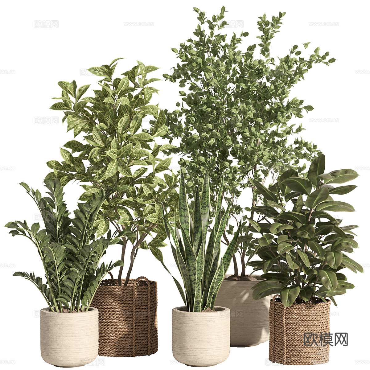 新中式侘寂盆栽3d模型