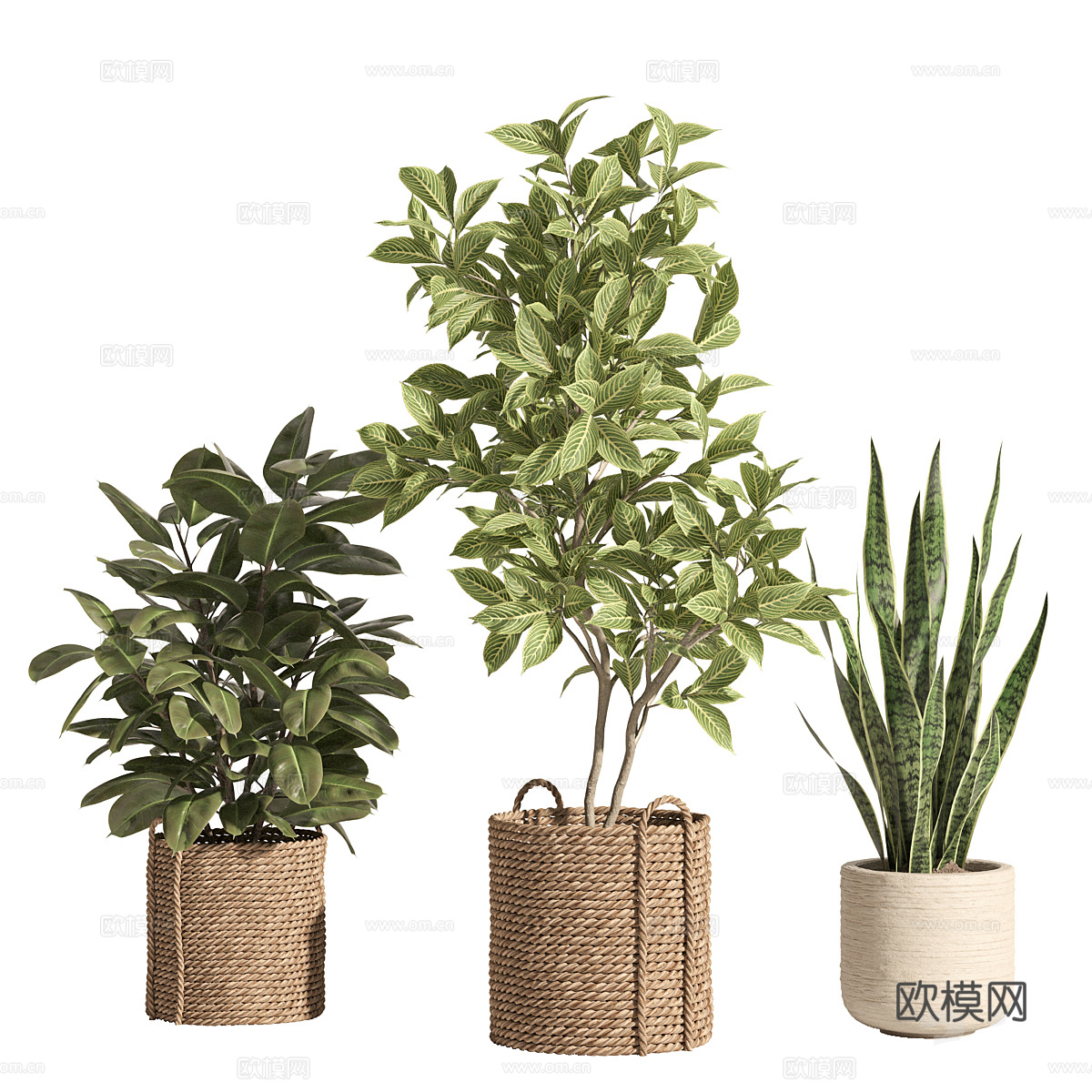 新中式侘寂盆栽3d模型