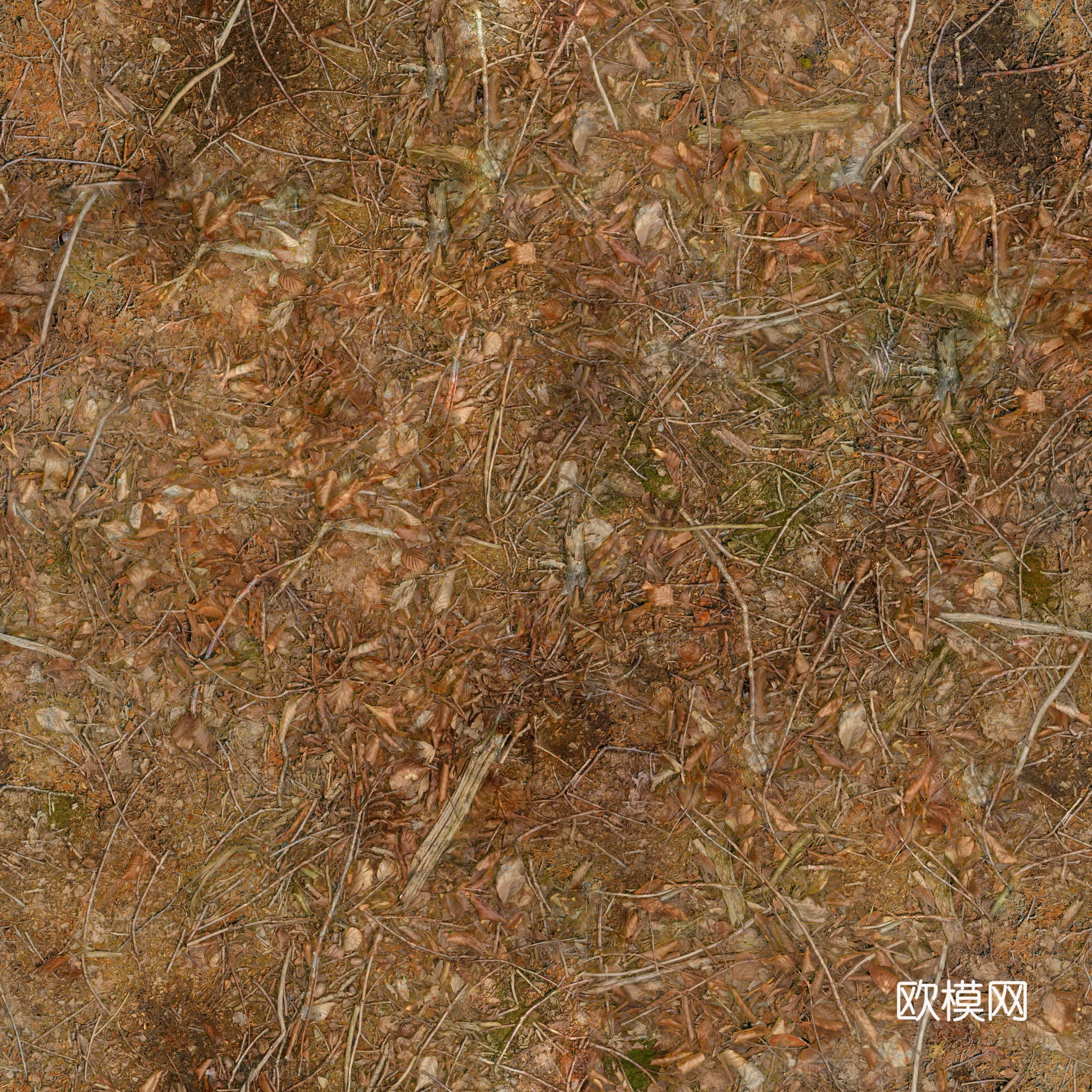 地面 地貌 沙滩 土壤 碎石 雪地